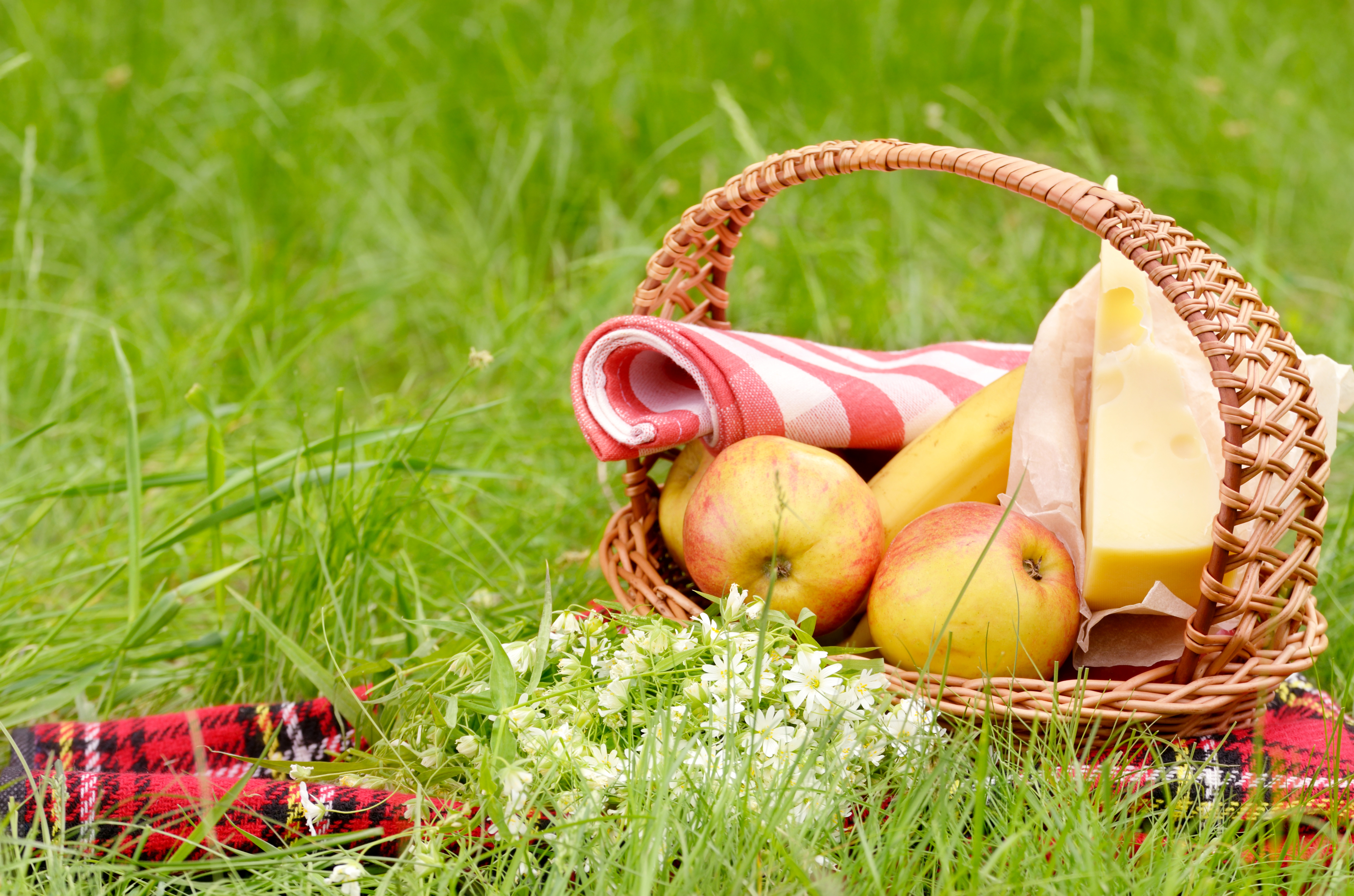 Summer Grass Meadow Basket Apple Cheese Flower Picnic 4928x3264
