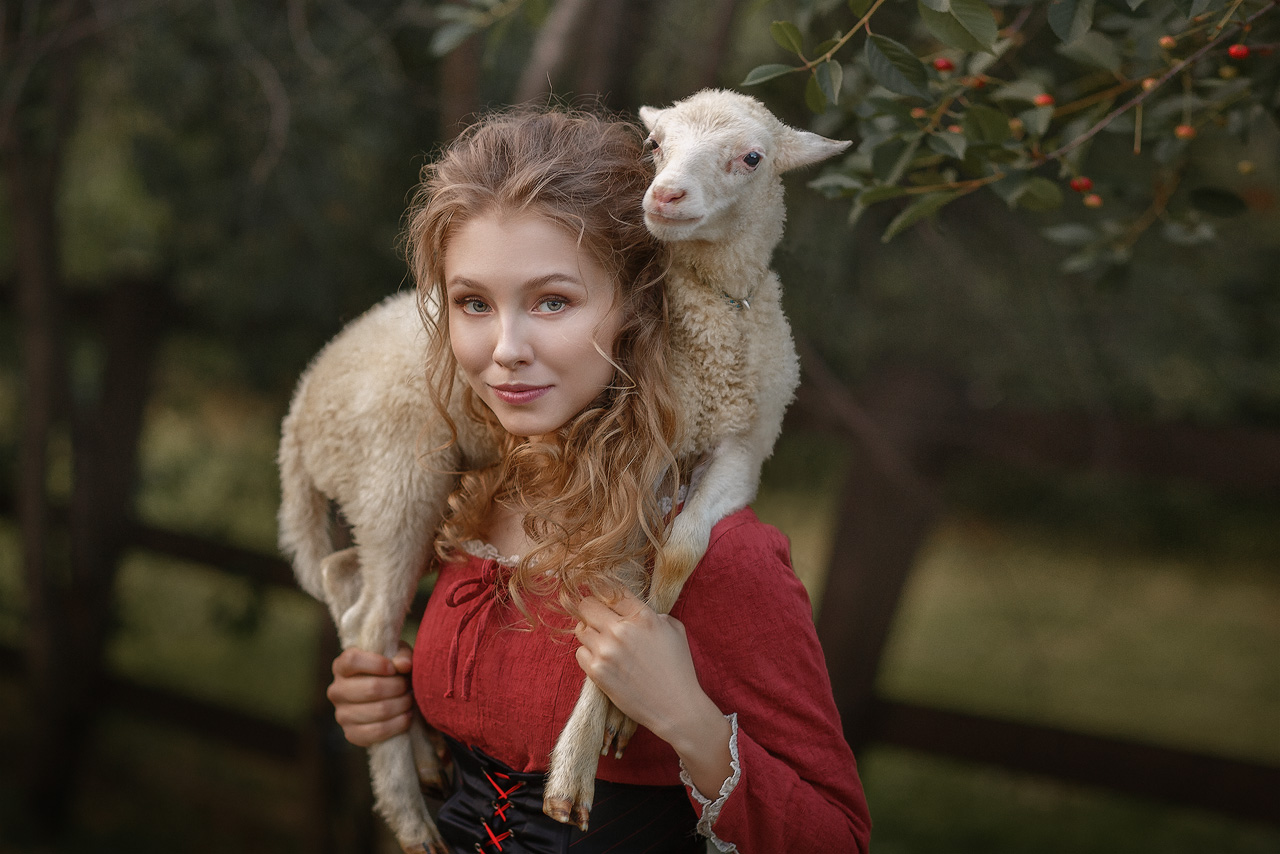 Alice Tarasenko Women Model Blonde Depth Of Field Lamb Animals Looking At Viewer Women Outdoors 1280x854