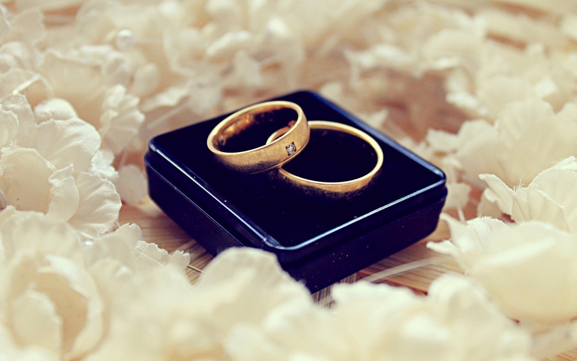 Rings Wedding Ring Gold 1920x1200