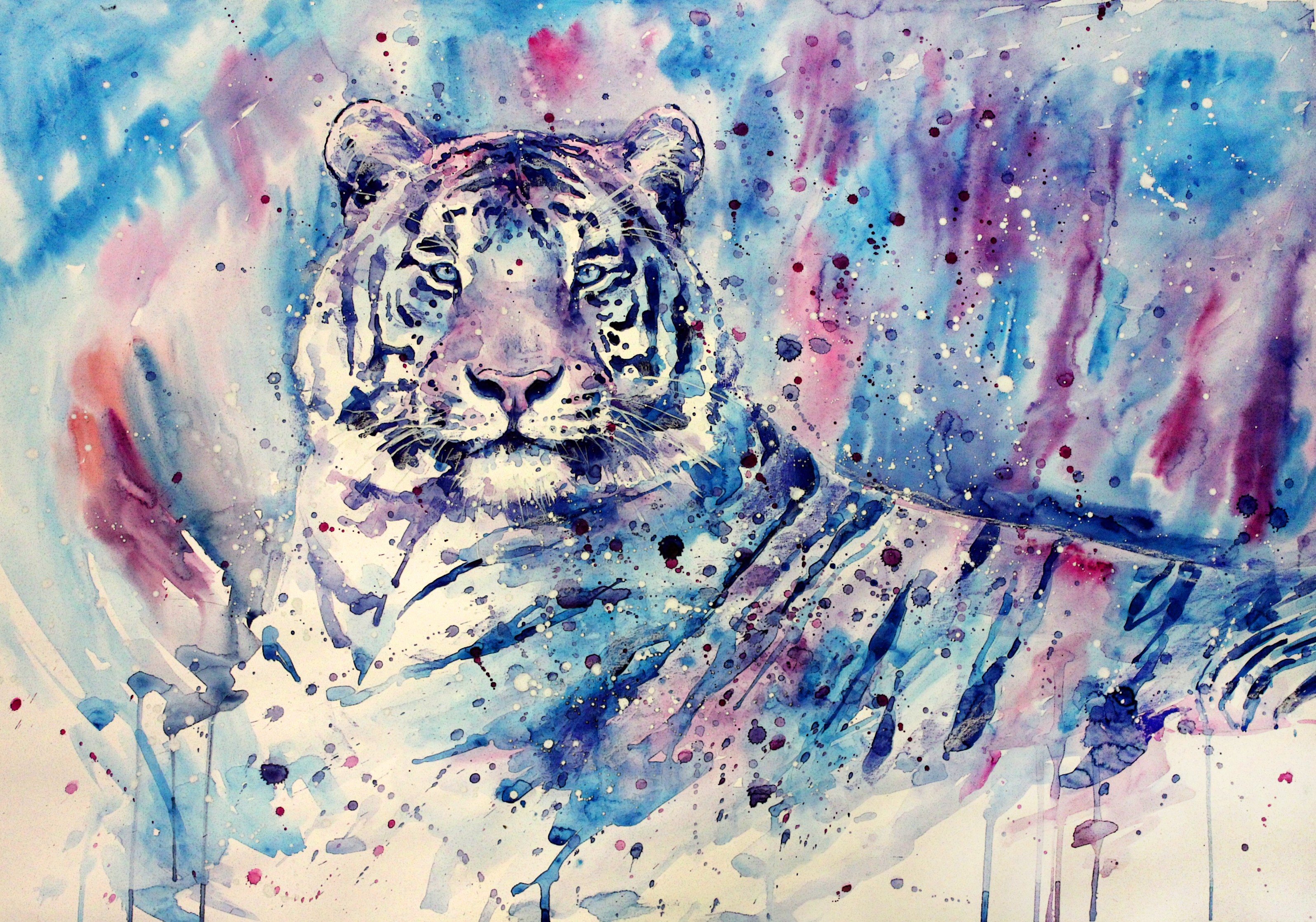 White Tigers Tiger Artwork Painting Watercolor Blue Purple Animals 3192x2238