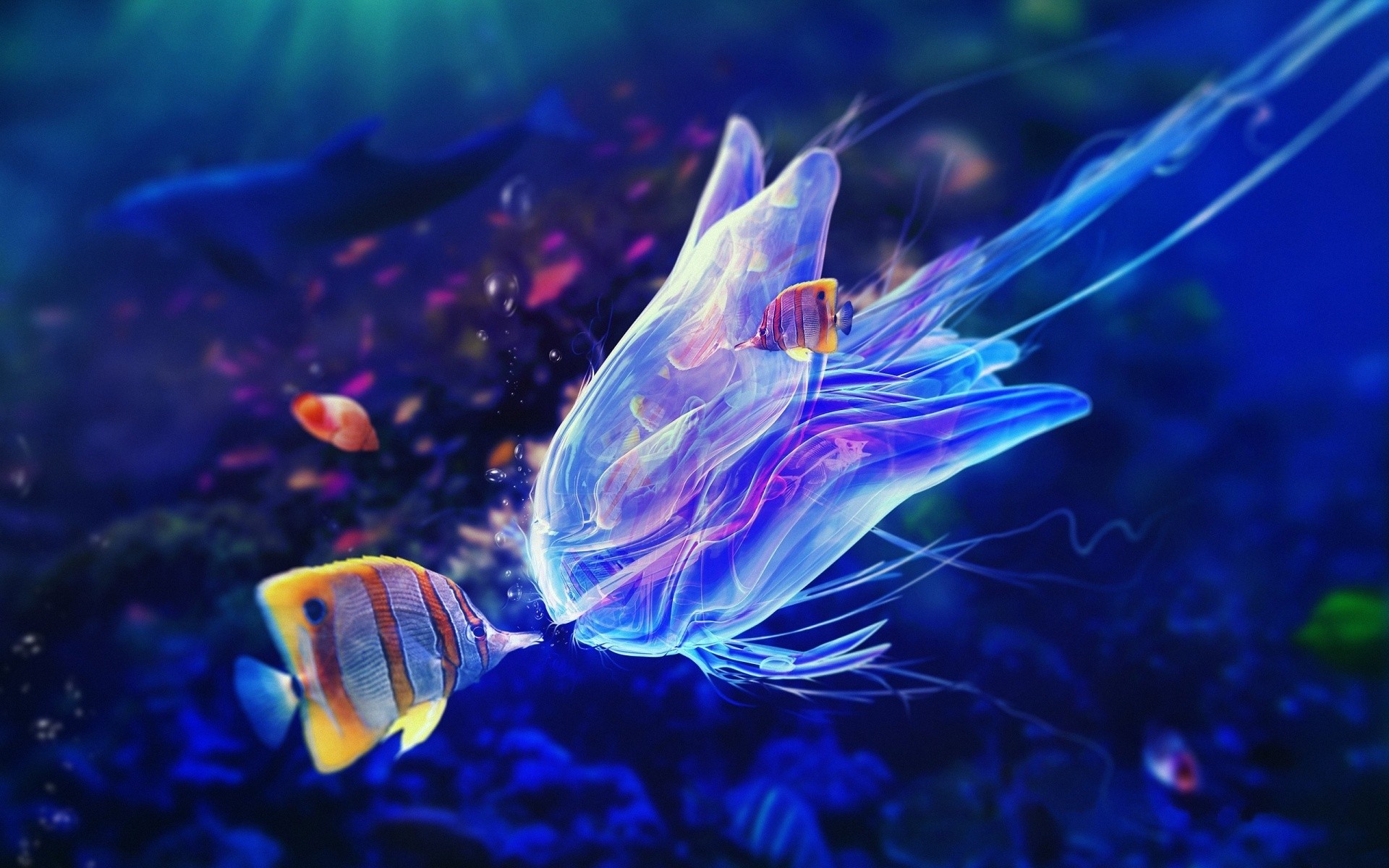 CGi Digital Art Butterflyfish 1920x1200
