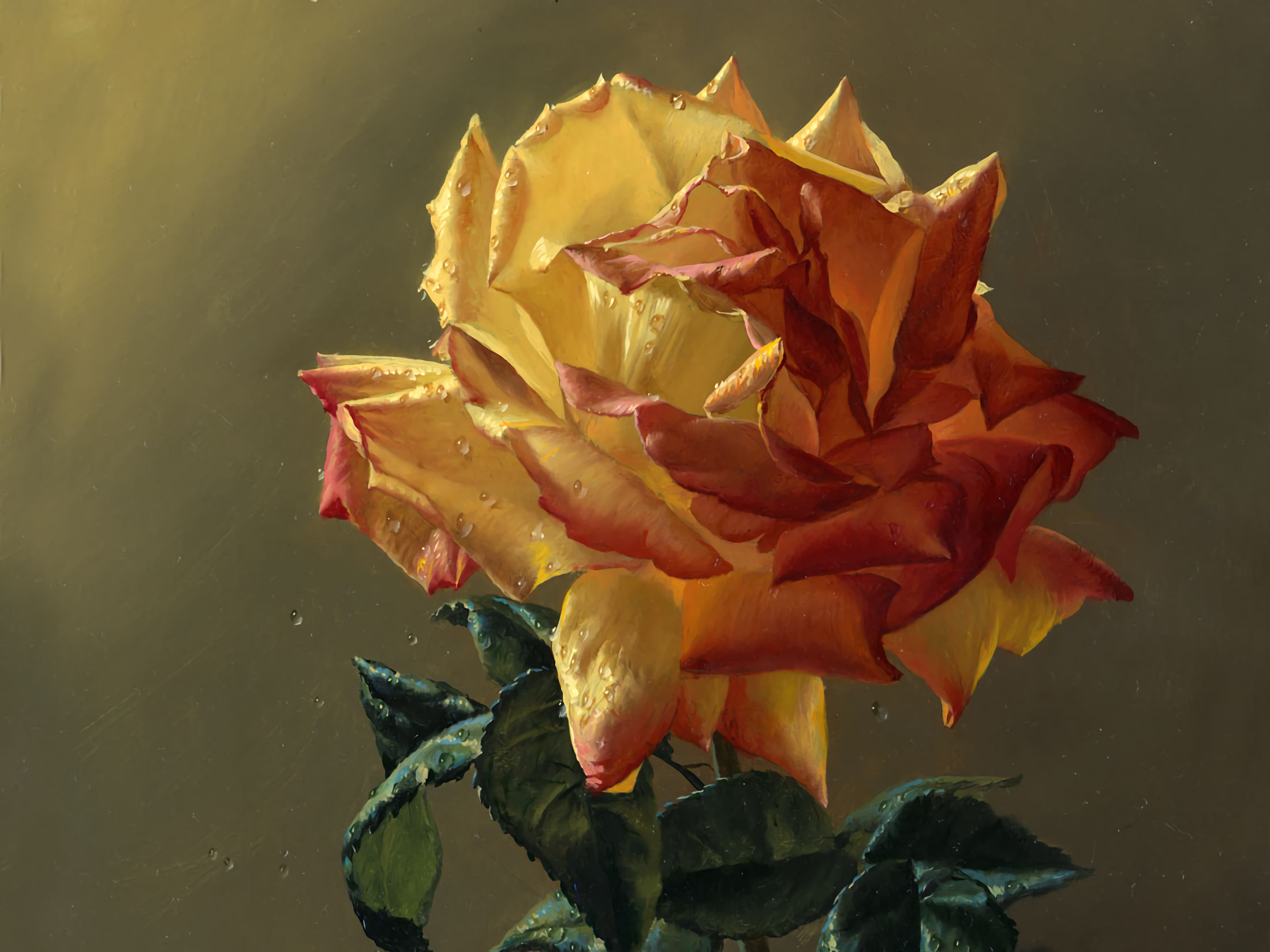Rose Orange Color Stem Close Up Yellow Flower 2200x1650