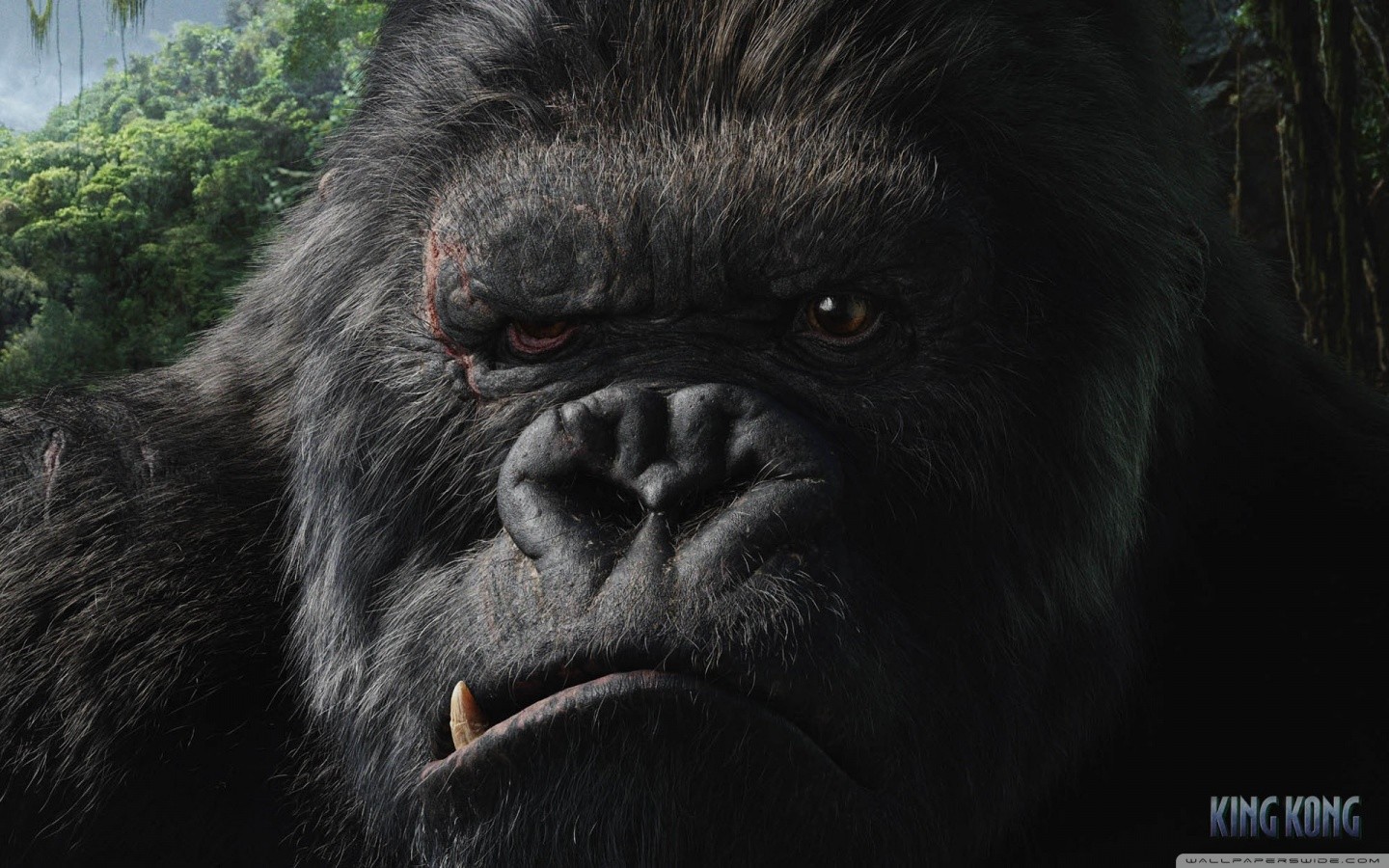 King Kong Movies Creature 2005 Year 1440x900