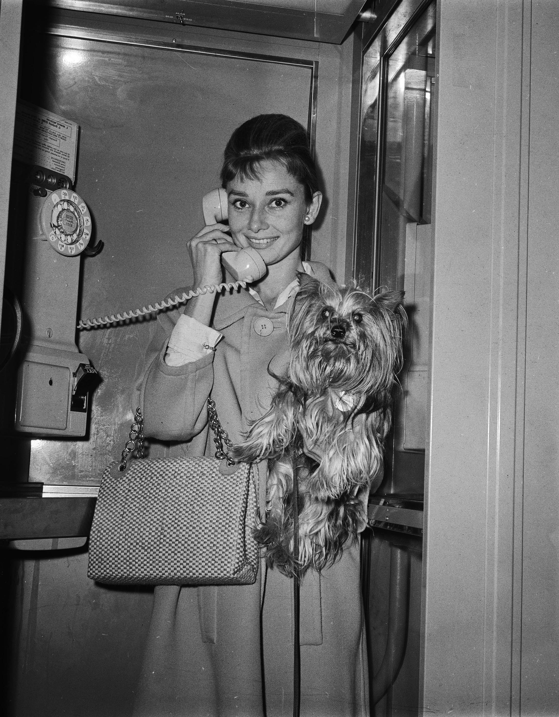 Audrey Hepburn Monochrome Women Actress Dog Phone Box 2300x2950