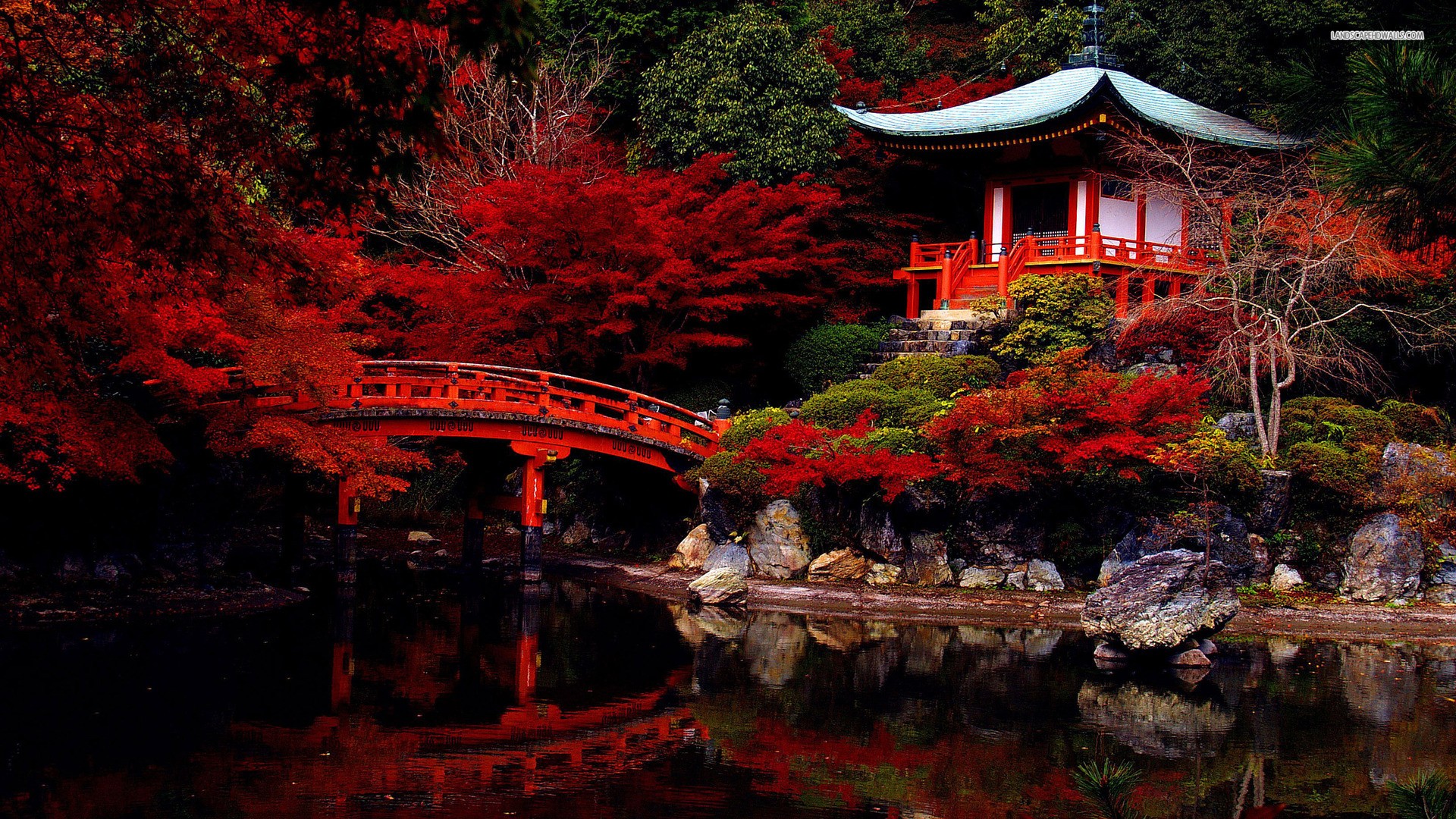 Temple Japan Pavilion Red Leaves Garden Bridge 1920x1080
