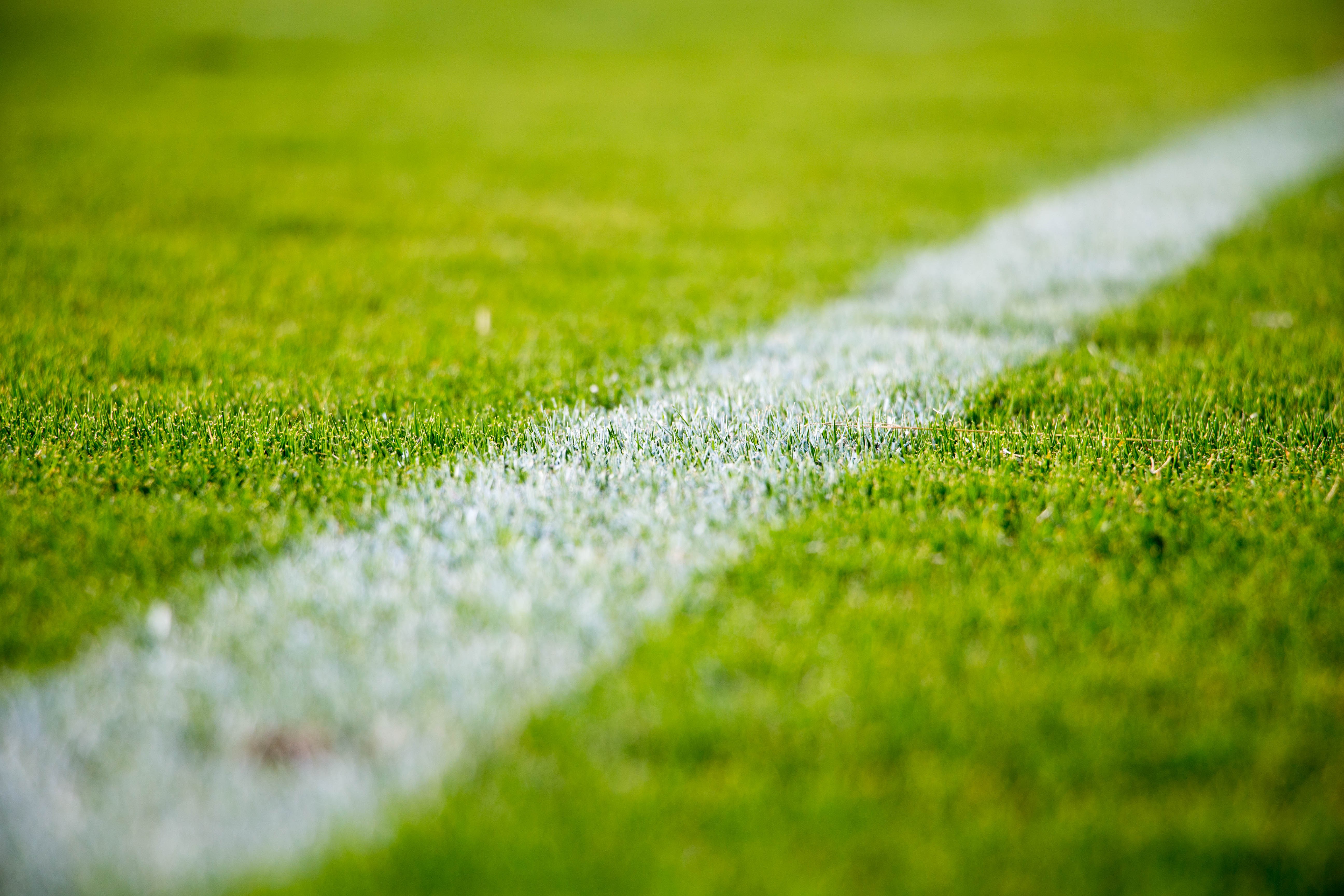 Grass Soccer Field White 5184x3456