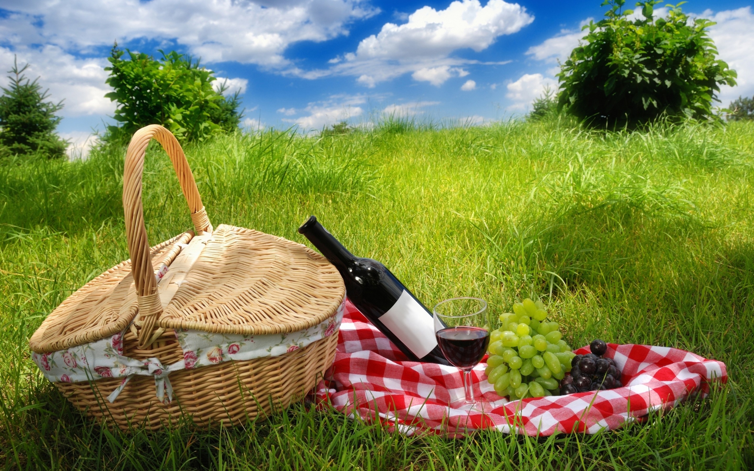 Wine Picnic Grapes Basket Picnic Basket Still Life Grass 2880x1800