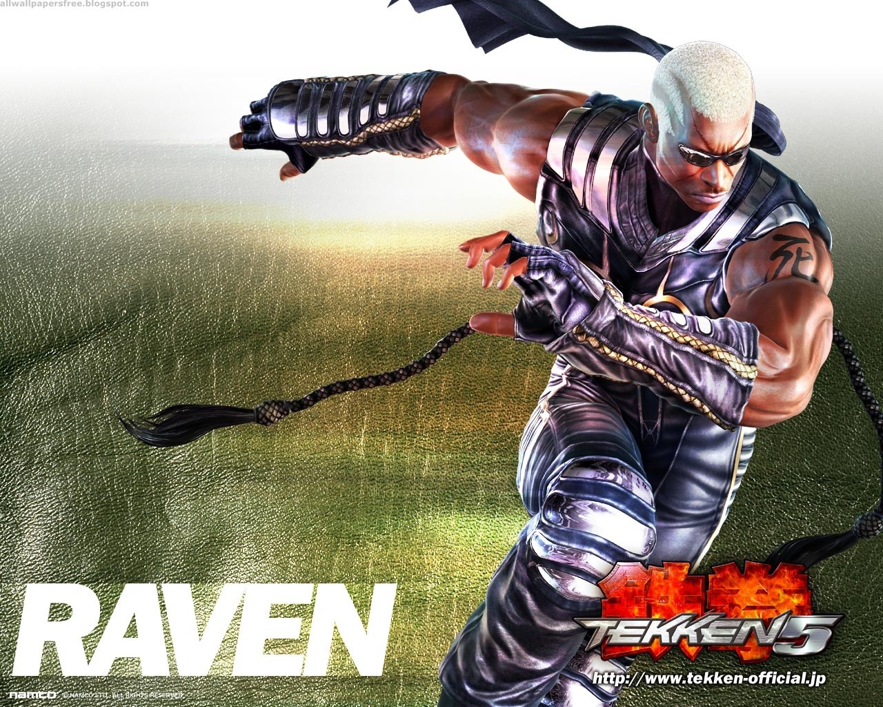 Video Game Tekken 5 1280x1024