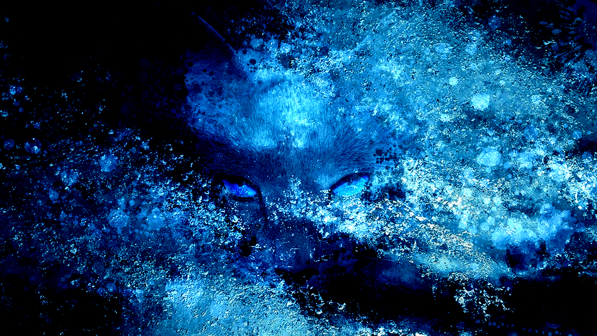 Ice Crystals Cat Eyes Stare Blue 1920x1080
