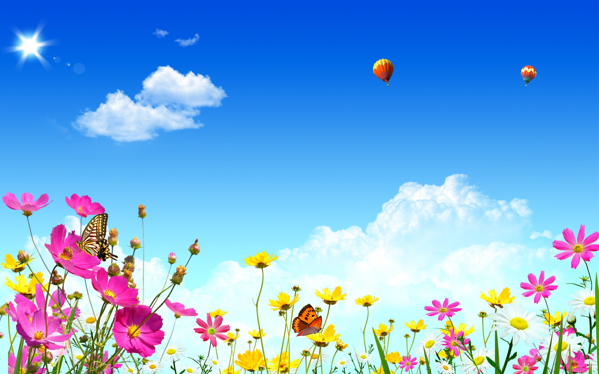 Yellow Flowers Cosmos Flower Butterfly Hot Air Balloons 1920x1200