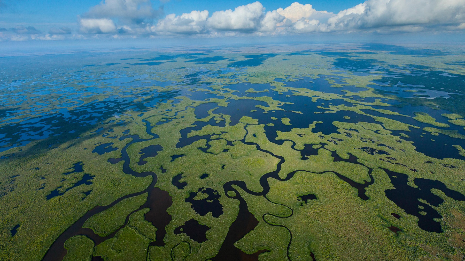 Aerial View Drone Photo Landscape Nature Wetland Everglades National Park Florida USA Forest Clouds  1920x1080