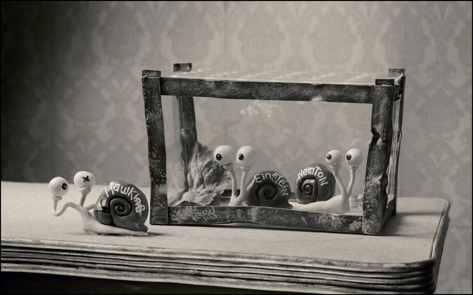 Movie Mary And Max 1920x1200