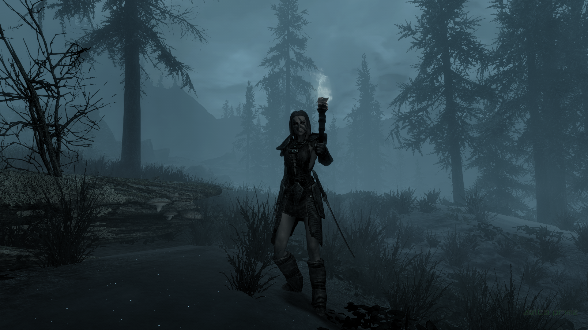 PC Gaming Screen Shot The Elder Scrolls V Skyrim In Game Snow Winter Mist Aela The Huntress Skyrim T 1920x1080