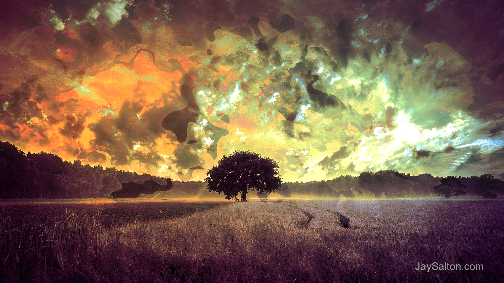 Digital Art 3D Abstract Nature Harvest Landscape Surreal Fantasy Art Sunset Sunrise Sky Clouds Dry G 1920x1080