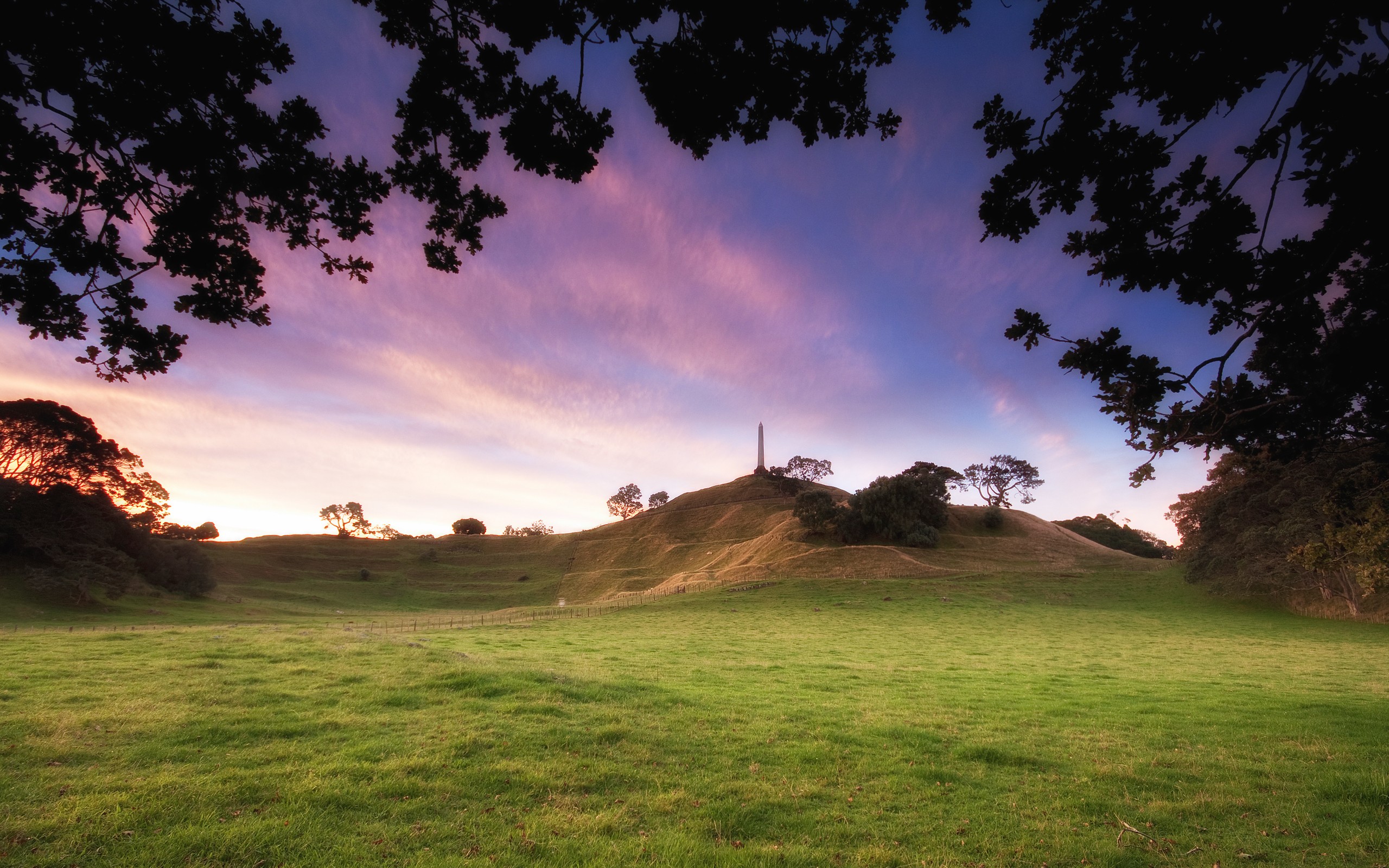 Landscape Field Park Auckland Obelisk New Zealand 2560x1600