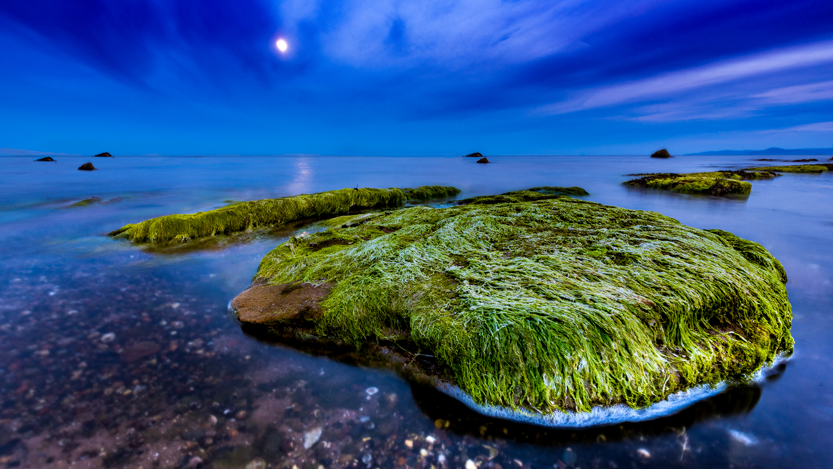 Earth Ocean Sea Scotland Rock Horizon Moss Seaweed 2880x1620