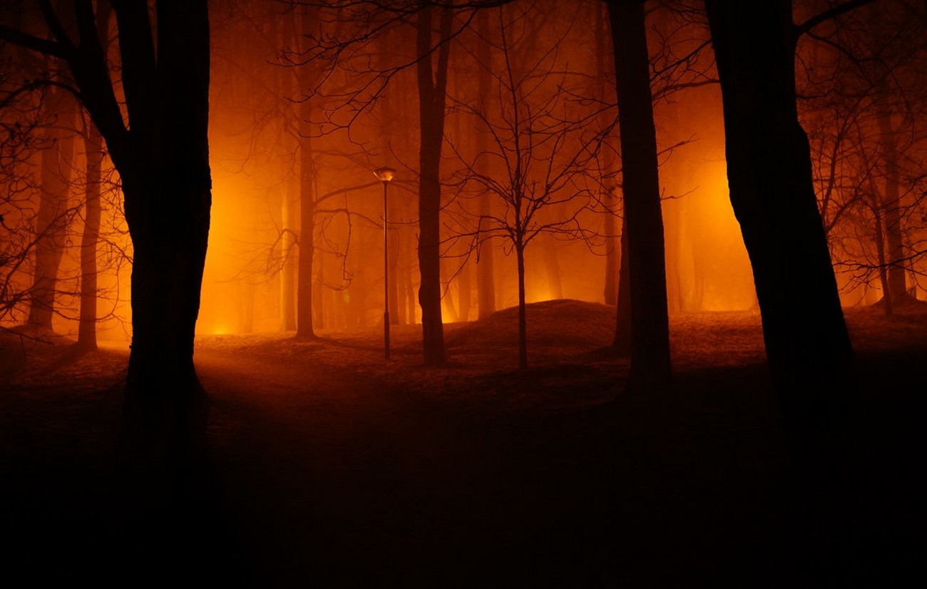 Photography Landscape Nature Mist Park Trees Path Lights Night Estonia Red Orange Dark 1300x826