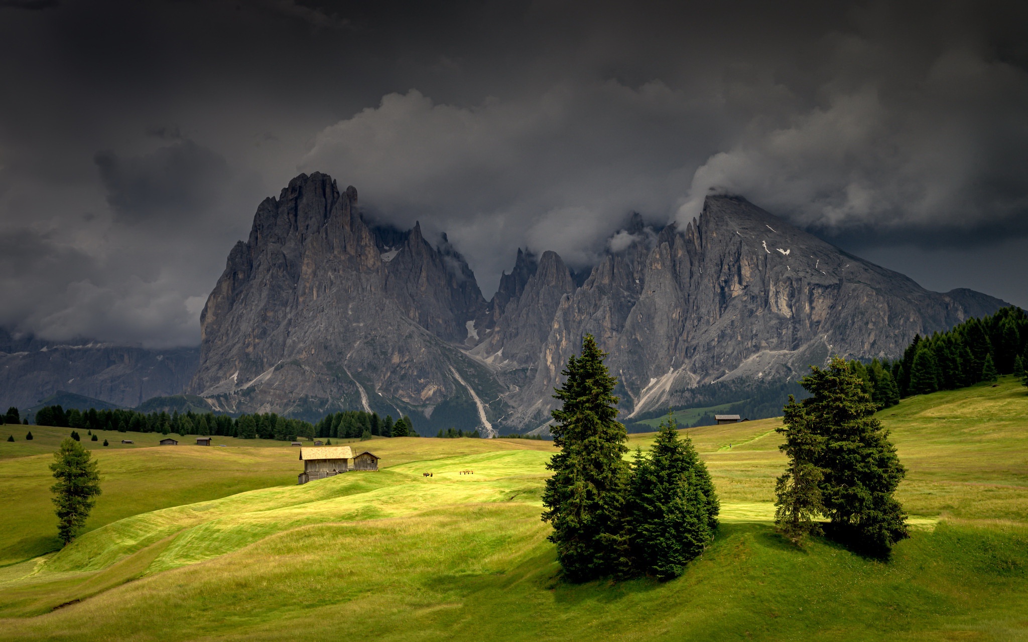 South Tyrol Landscape Field Nature Mountains 2048x1280