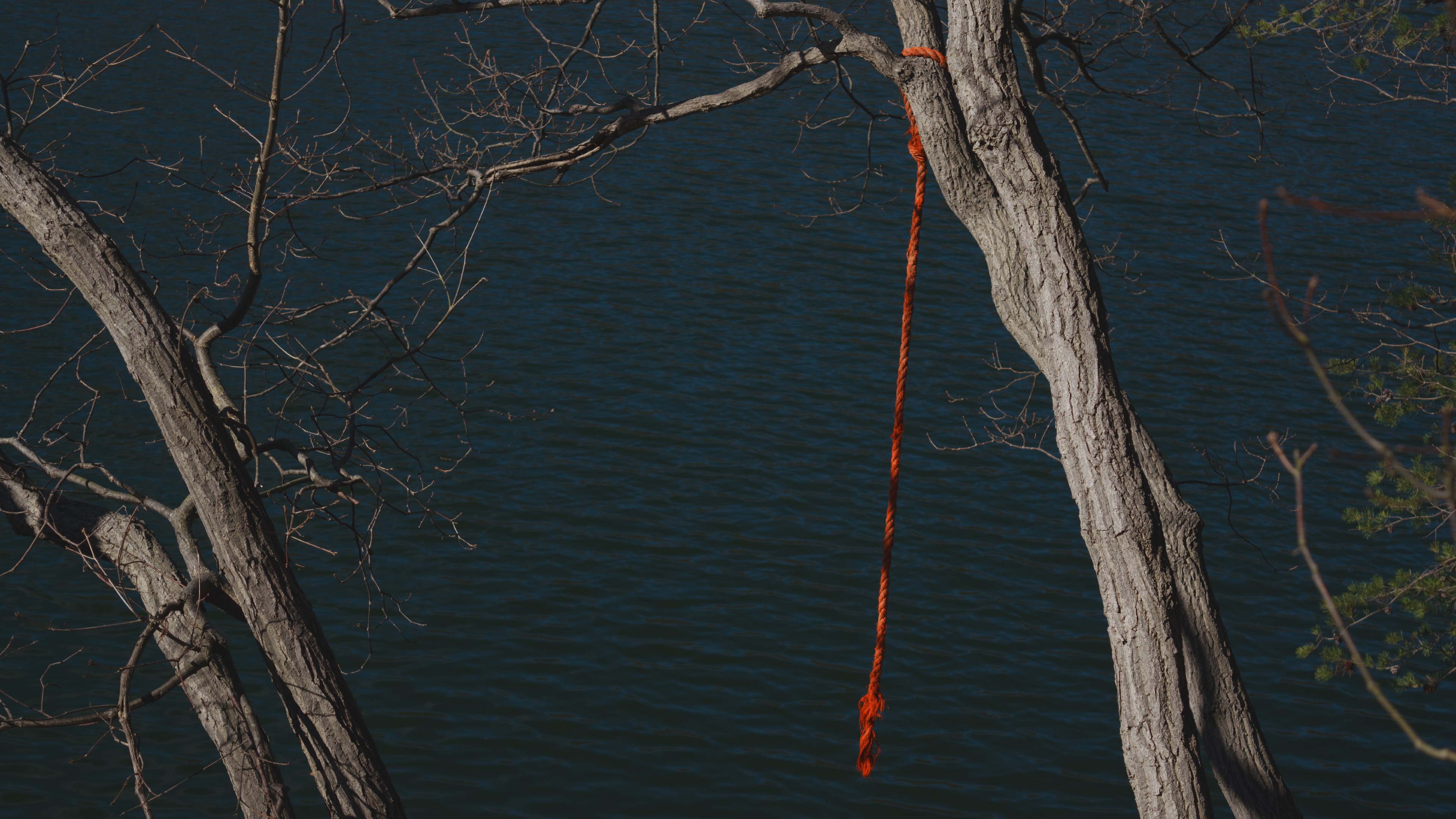 Water Rope Swing Trees 3840x2160