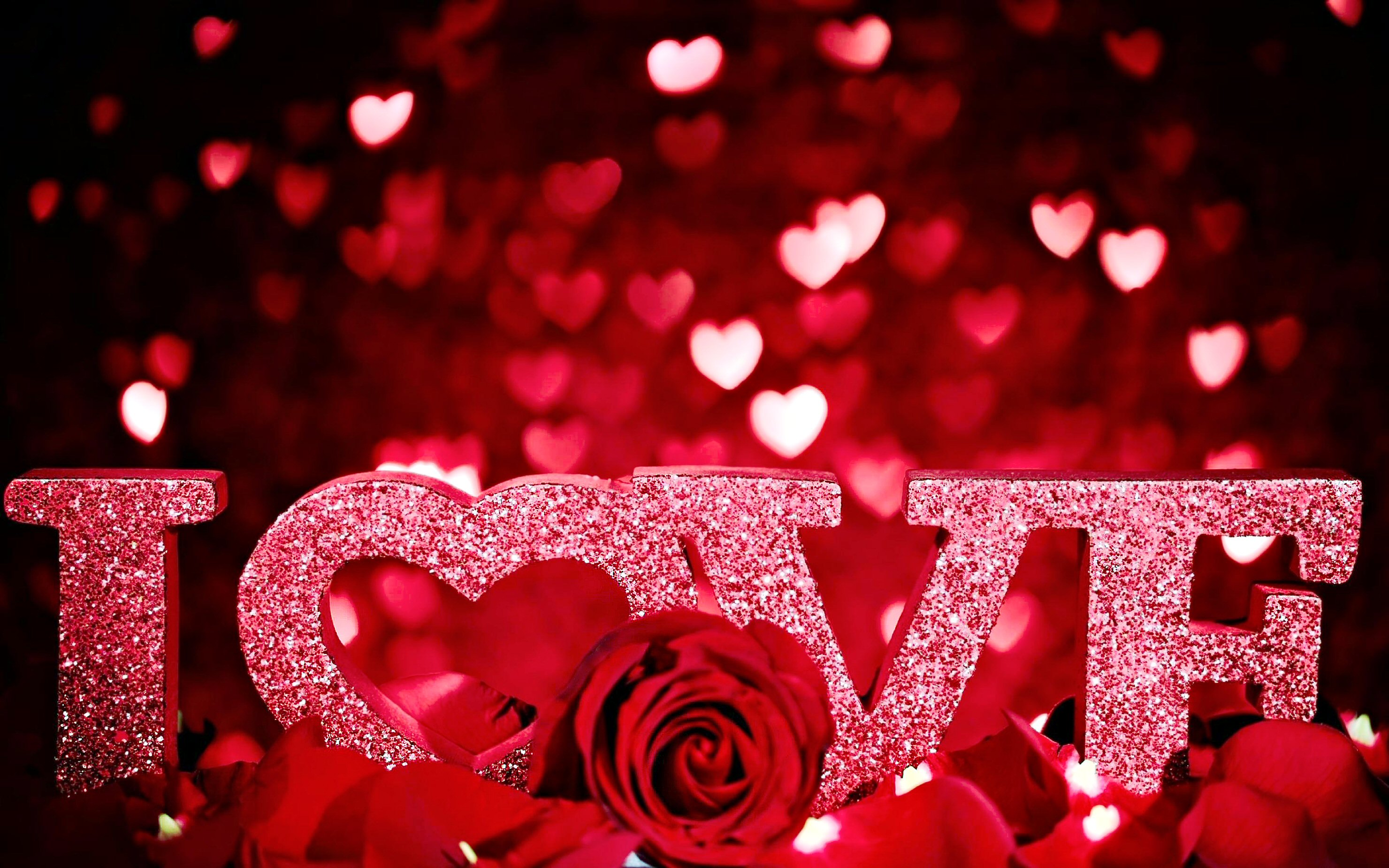 Valentines Day Red Love 2960x1850