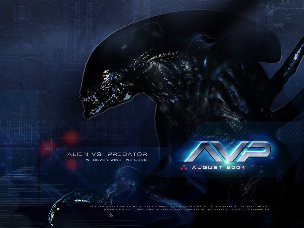 Alien Vs Predator Alien Movie Alien Vs Predator Alien Vs Predator Movies Xenomorph Horror 2004 Year  1024x768
