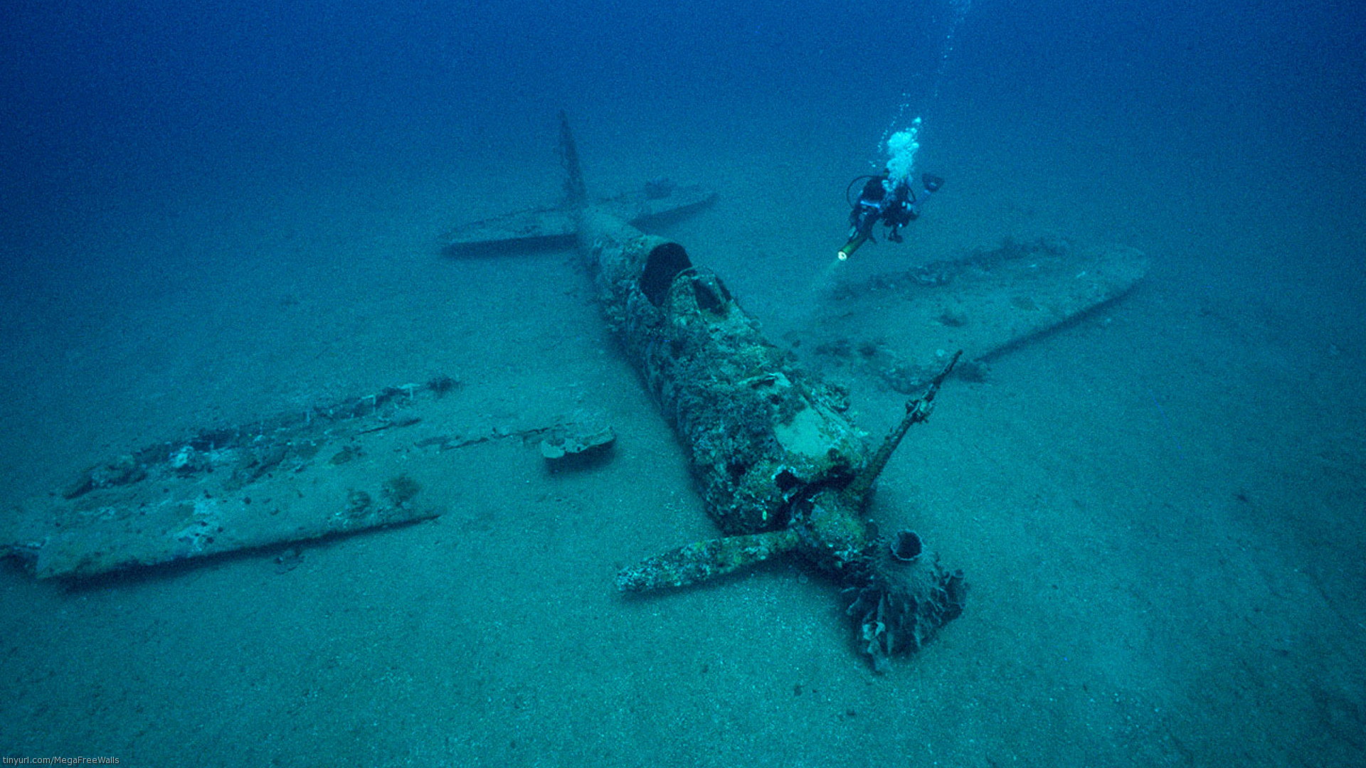 Military Aircraft Wreck Airplane Underwater Diver 1920x1080