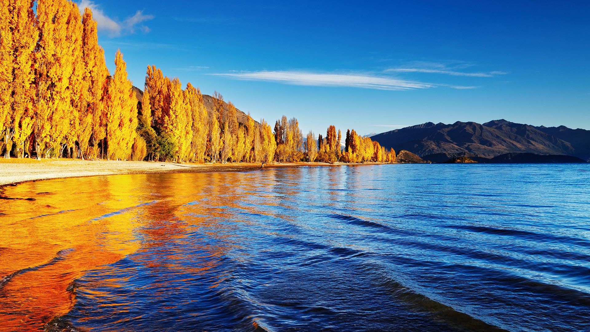 Nature Landscape Trees Forest Water Ripples Waves Clouds Sky Mountains Sunlight Fall Sand Lake Wanak 1920x1080