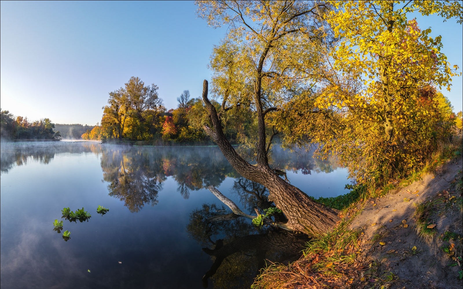 Landscape Photography Nature Fall River Trees Reflection Afternoon Mist 1600x1000