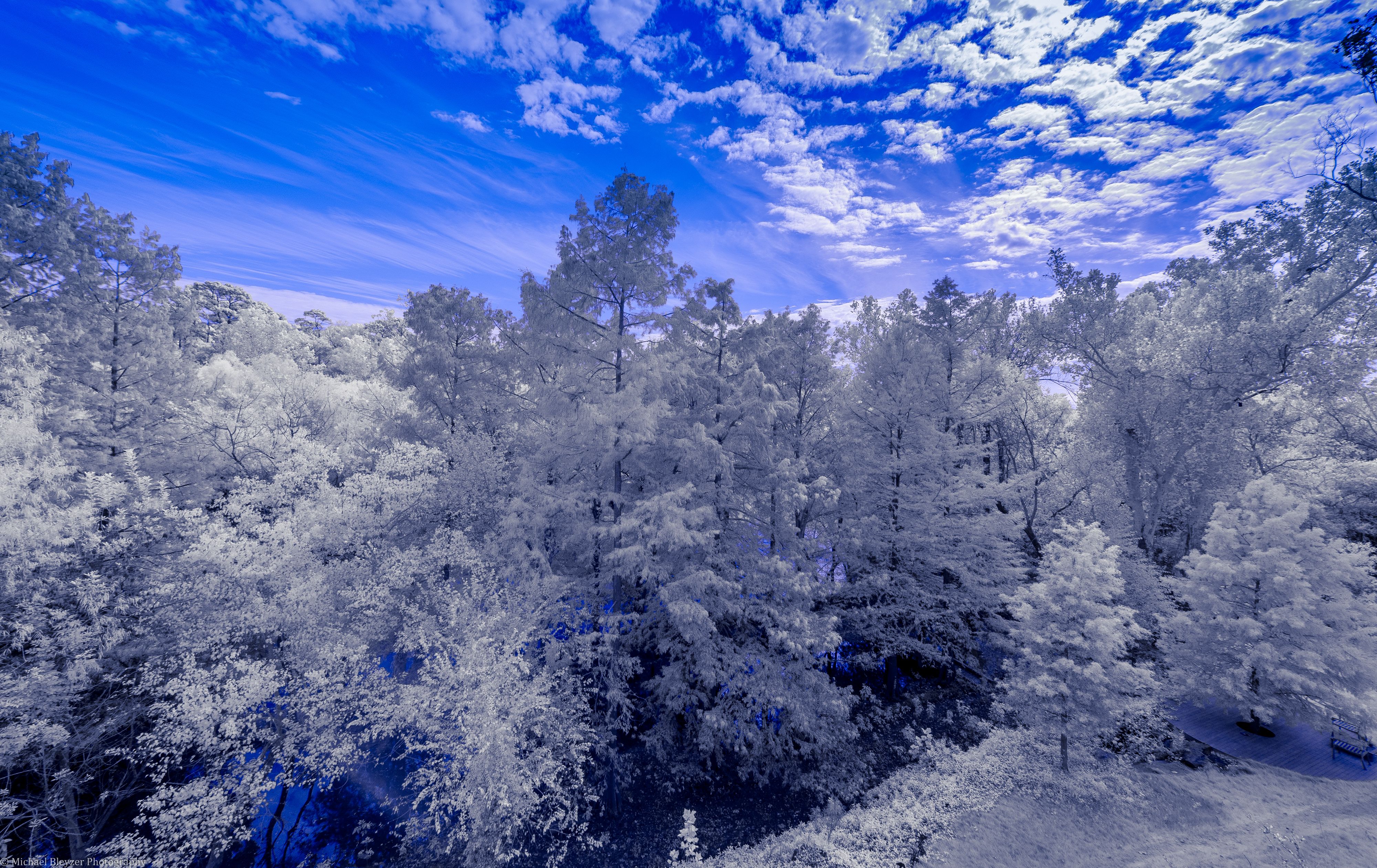 Winter Snow Forest Tree Sky Cloud Landscape Frost 4000x2523