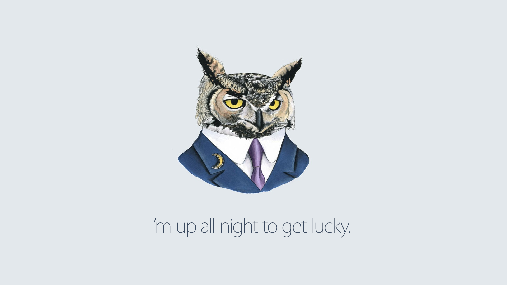Humor Drawing Owl Text Simple Background Suits Daft Punk Lyrics Daft Punk Owl Artwork Digital Art Wh 1920x1080