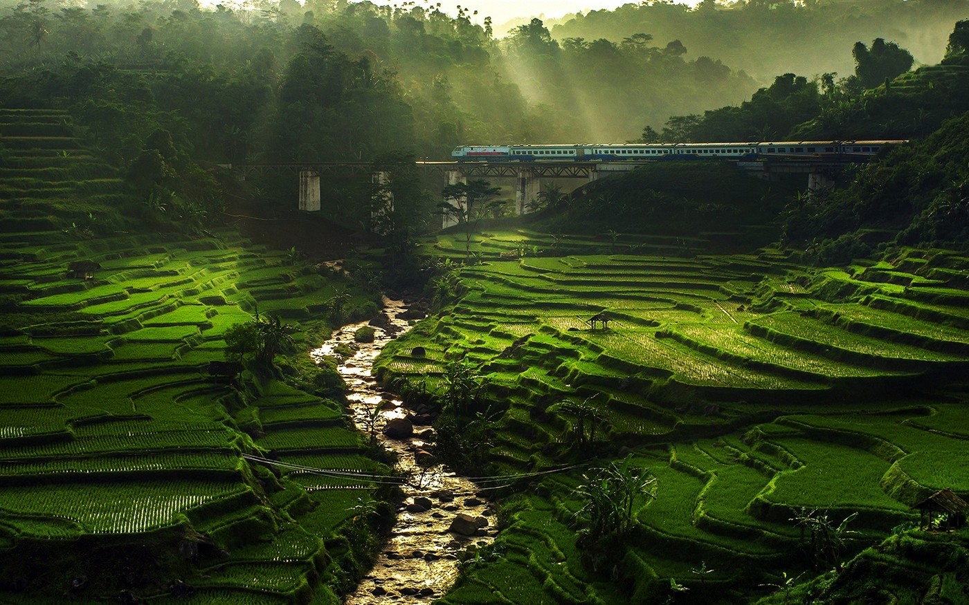 Nature Landscape Rice Paddy River Sun Rays Field Terraces Train Bridge Trees Mist Green Water Withou 1400x875