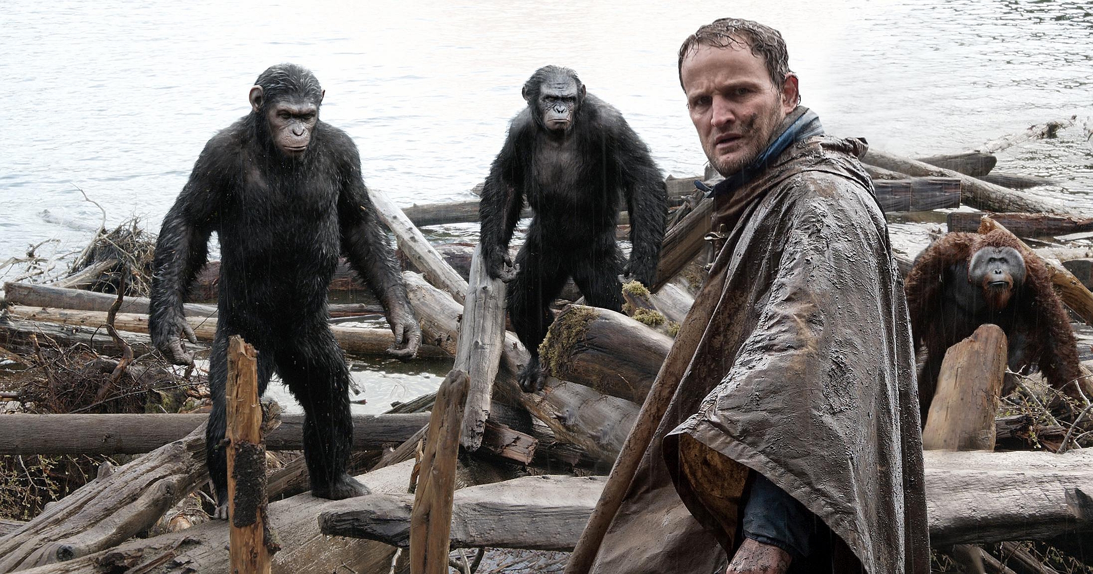 Movie Dawn Of The Planet Of The Apes 2200x1156