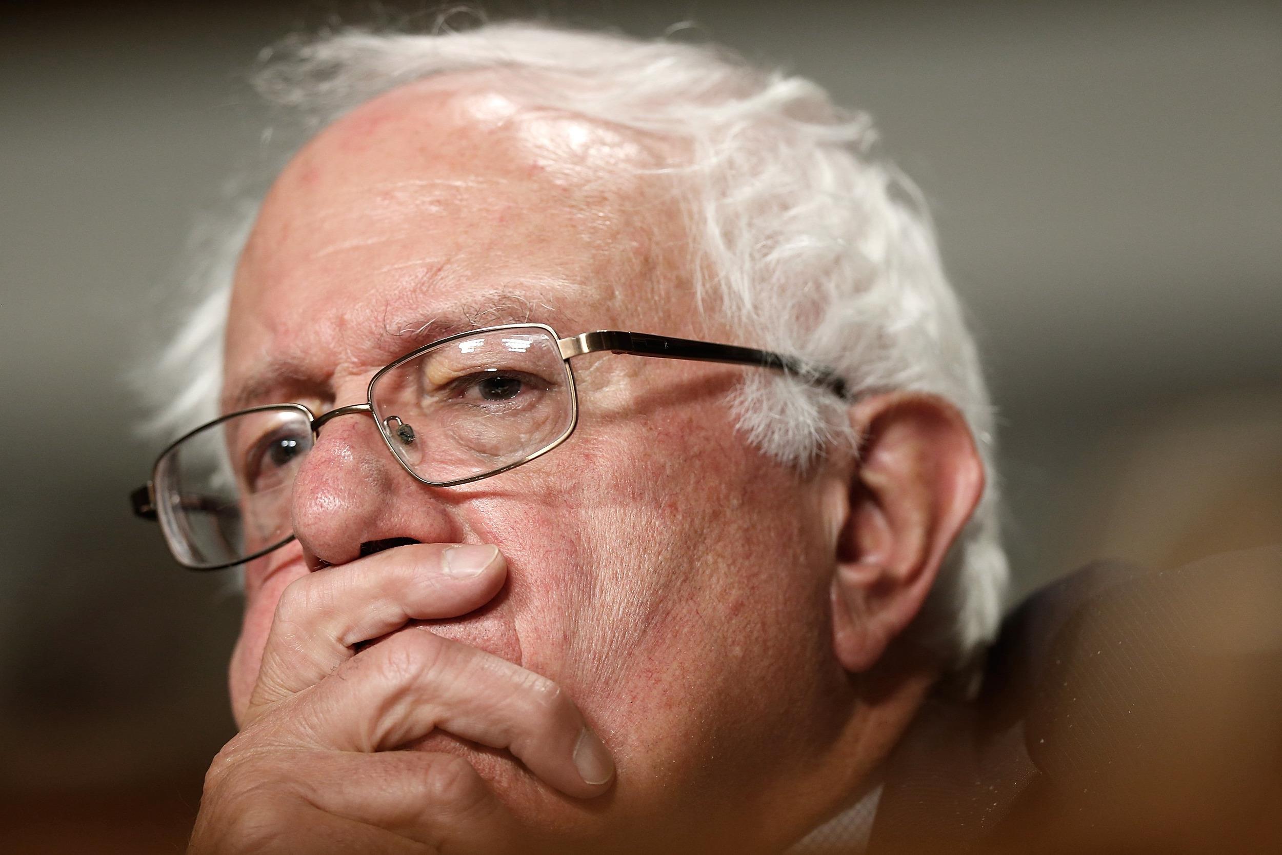 Bernie Sanders Politician American 2500x1667