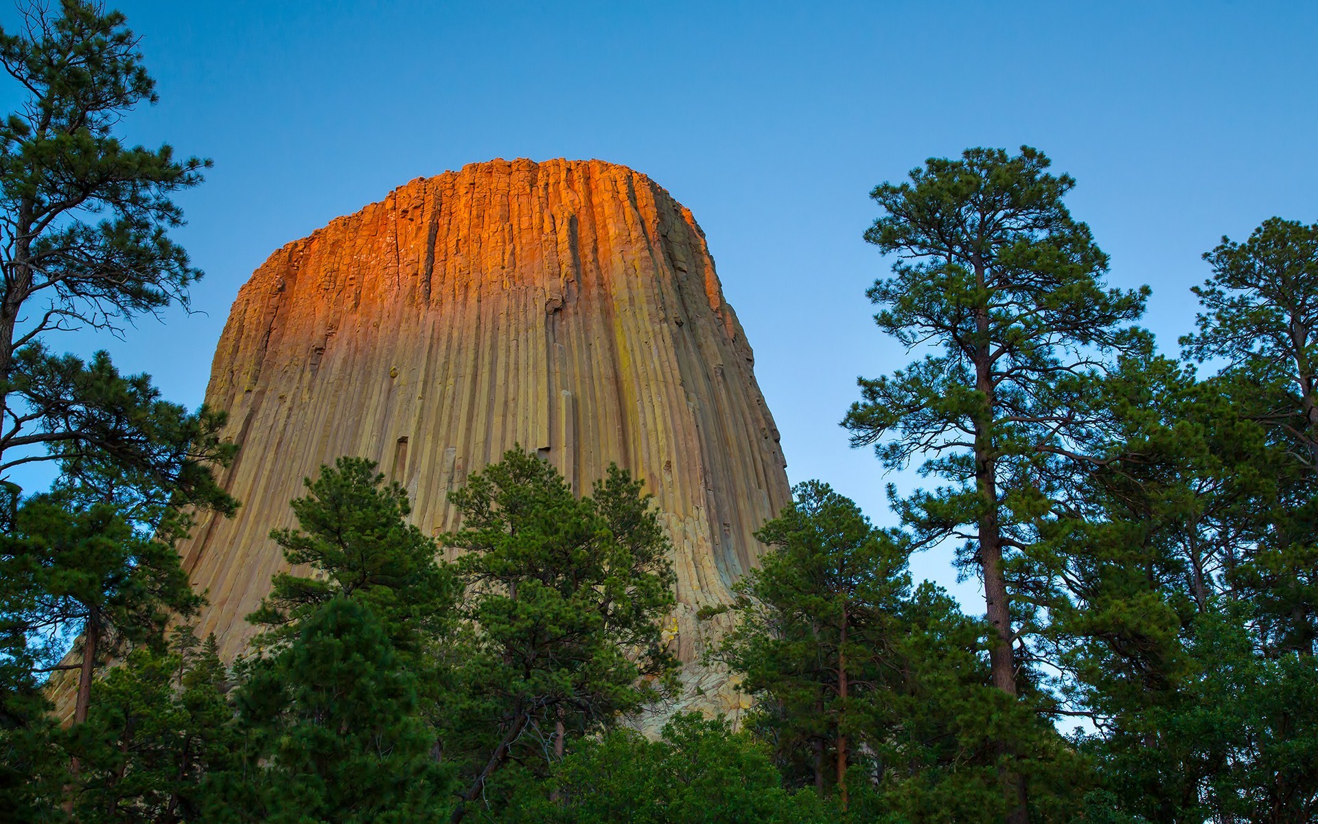 Devils Tower Rock Formation Monuments Forest Wyoming Nature 1920x1200