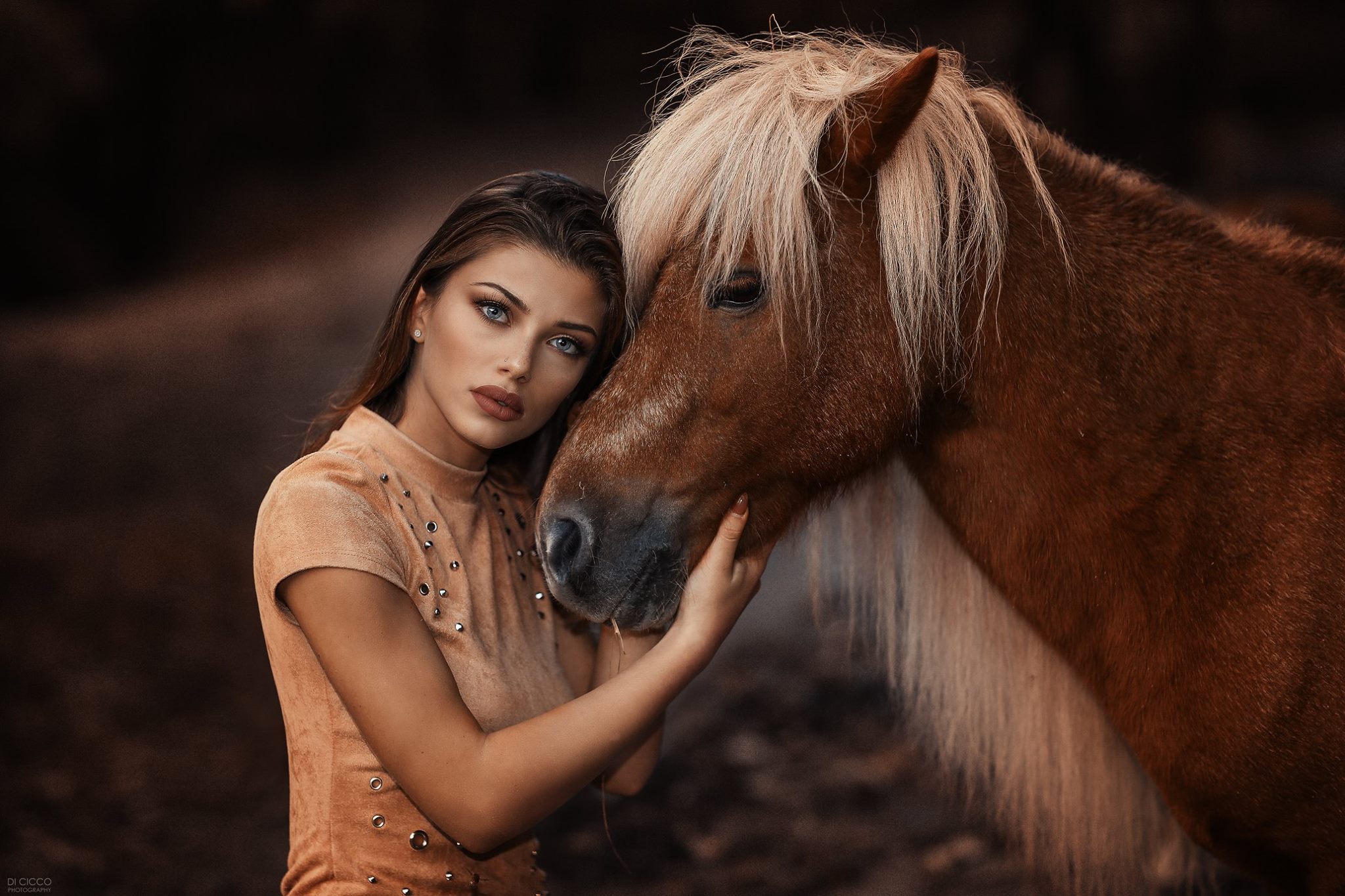 Alessandro Di Cicco Horse Women Model Animals Margherita Sicignano 2048x1365