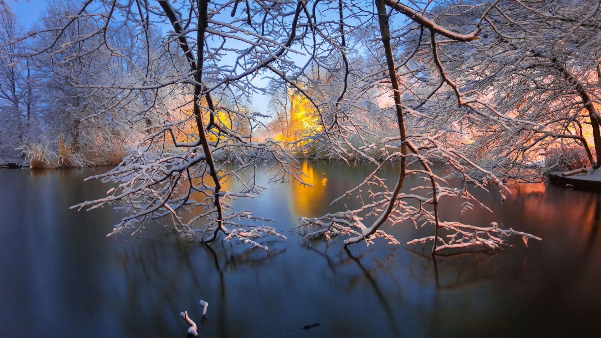 Nature Landscape Water Lake Trees Brooklyn Park New York City USA Winter Snow Branch Reflection Morn 1920x1080