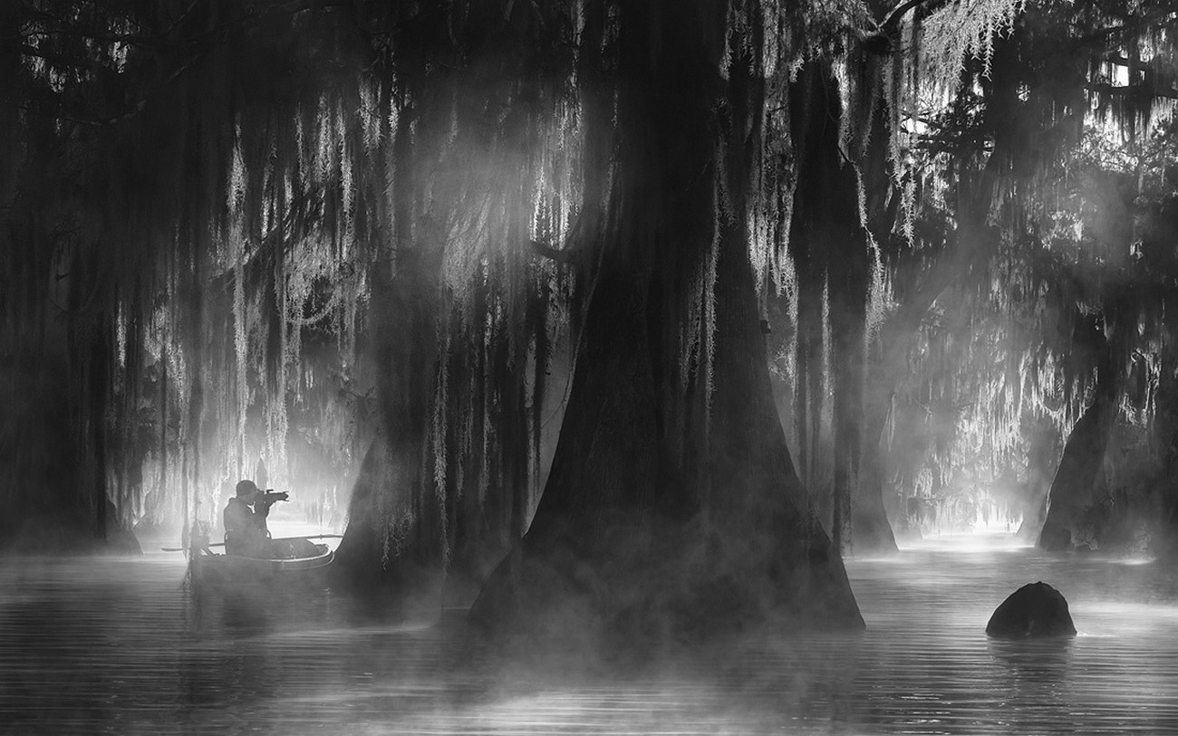 Nature Landscape Cypress Trees Mist Atmosphere Photographer Water Boat Sunlight Monochrome Forest Ca 1300x813
