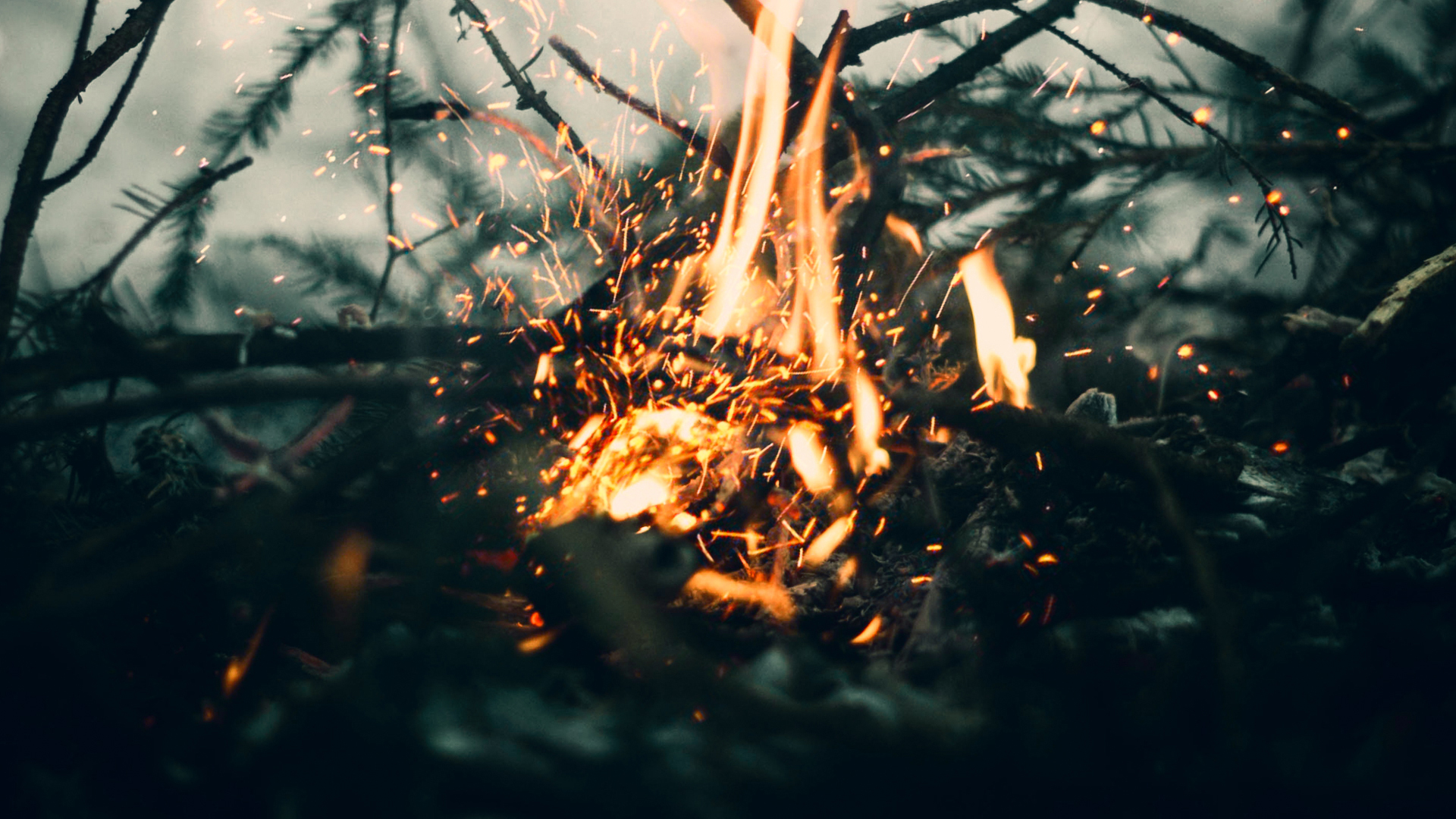 Fire Bokeh Closeup Branch Sparks Bonfire Blurred Outdoors Burning 1920x1080