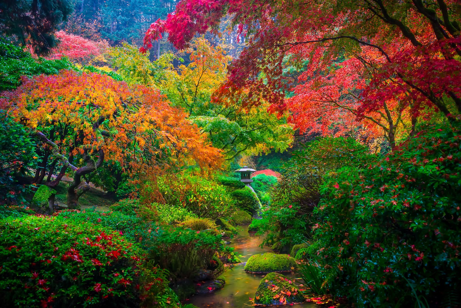 Garden Japanese Garden Fall Foliage Tree Colorful Nature 1600x1068