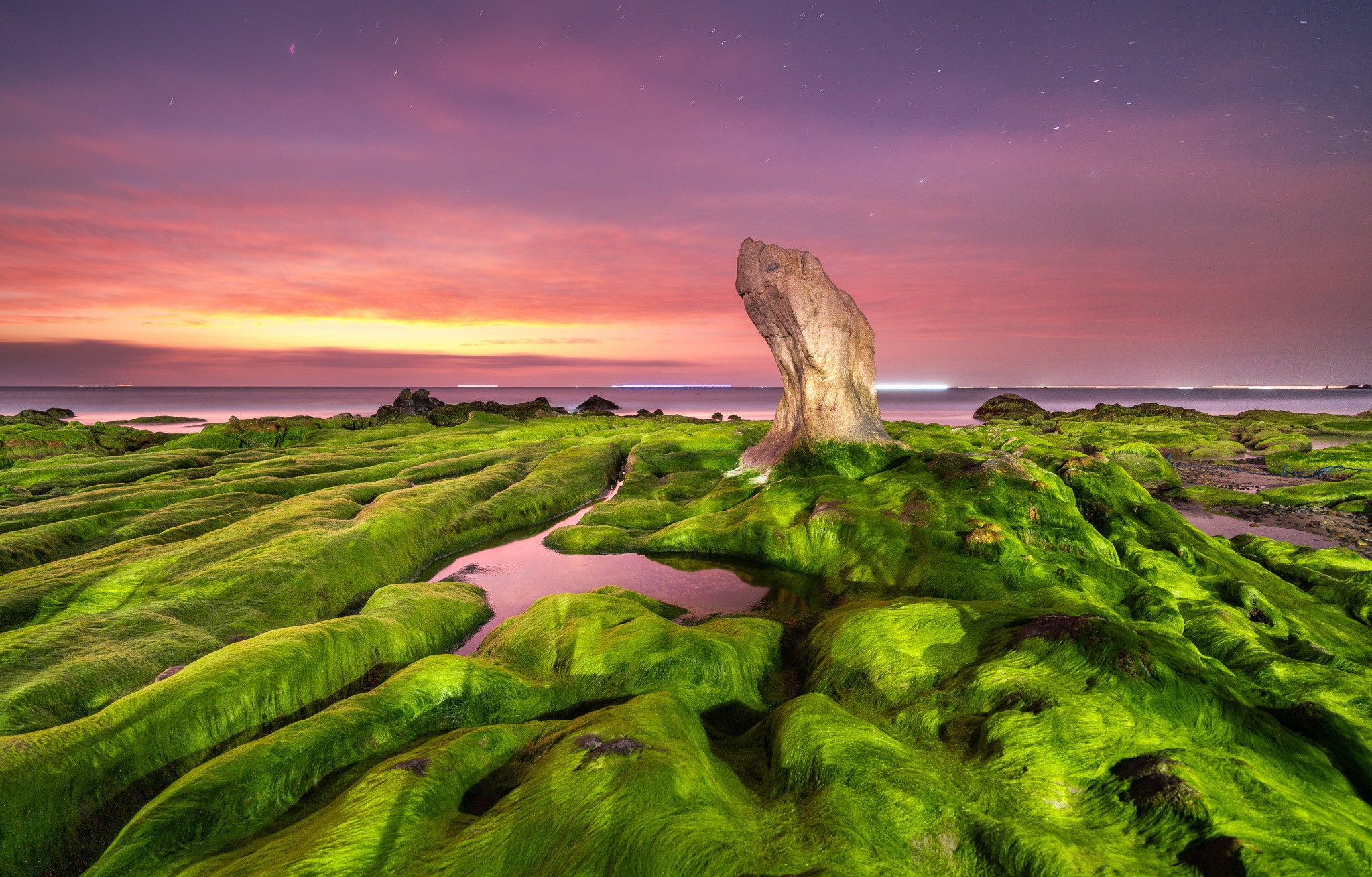 Sea Nature Purple Sky Sunset Rocks Seaweed Dusk Landscape 2047x1309