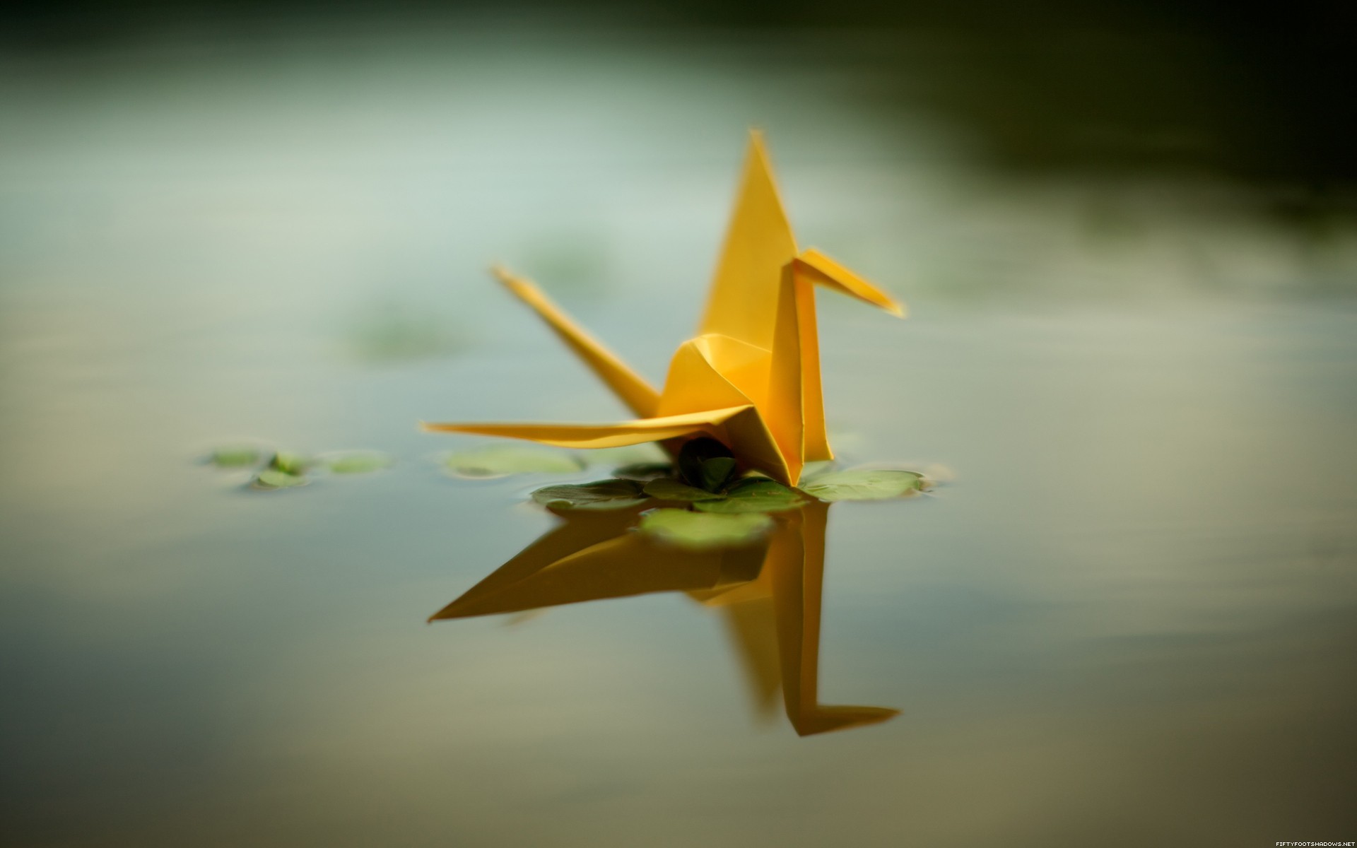 Origami Paper Cranes Reflection Water 1920x1200
