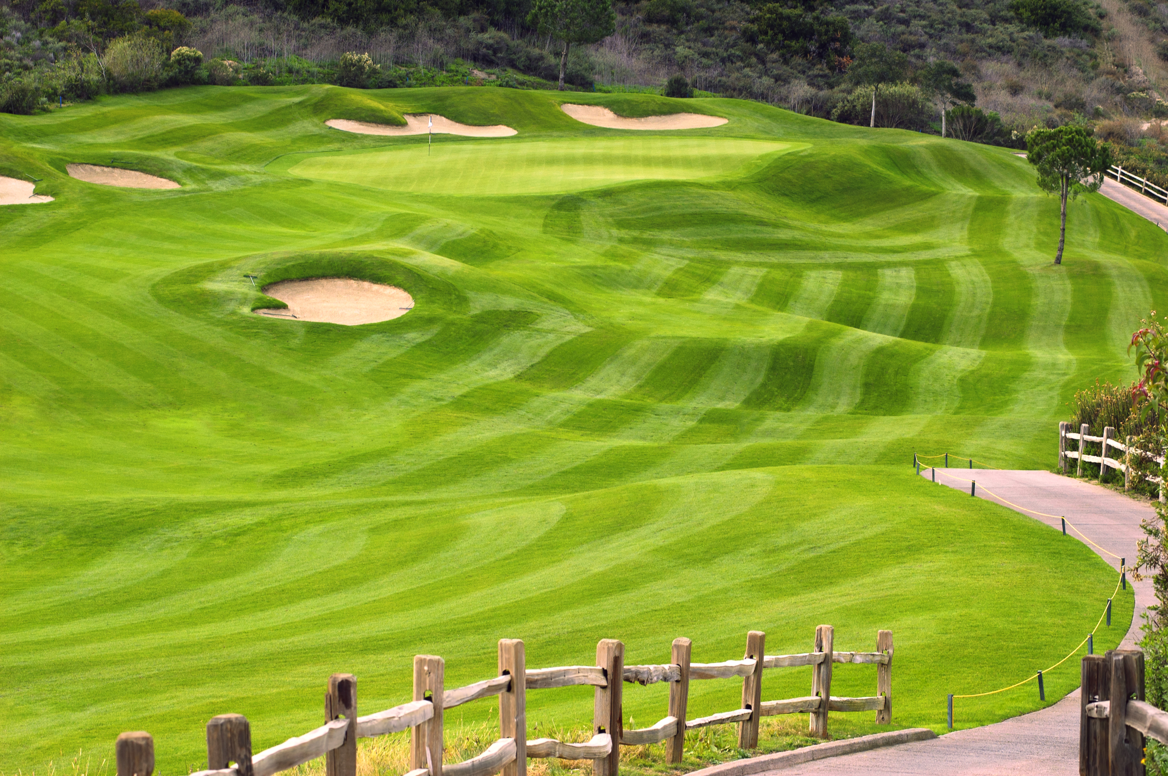 Golf Course Grass 3760x2500