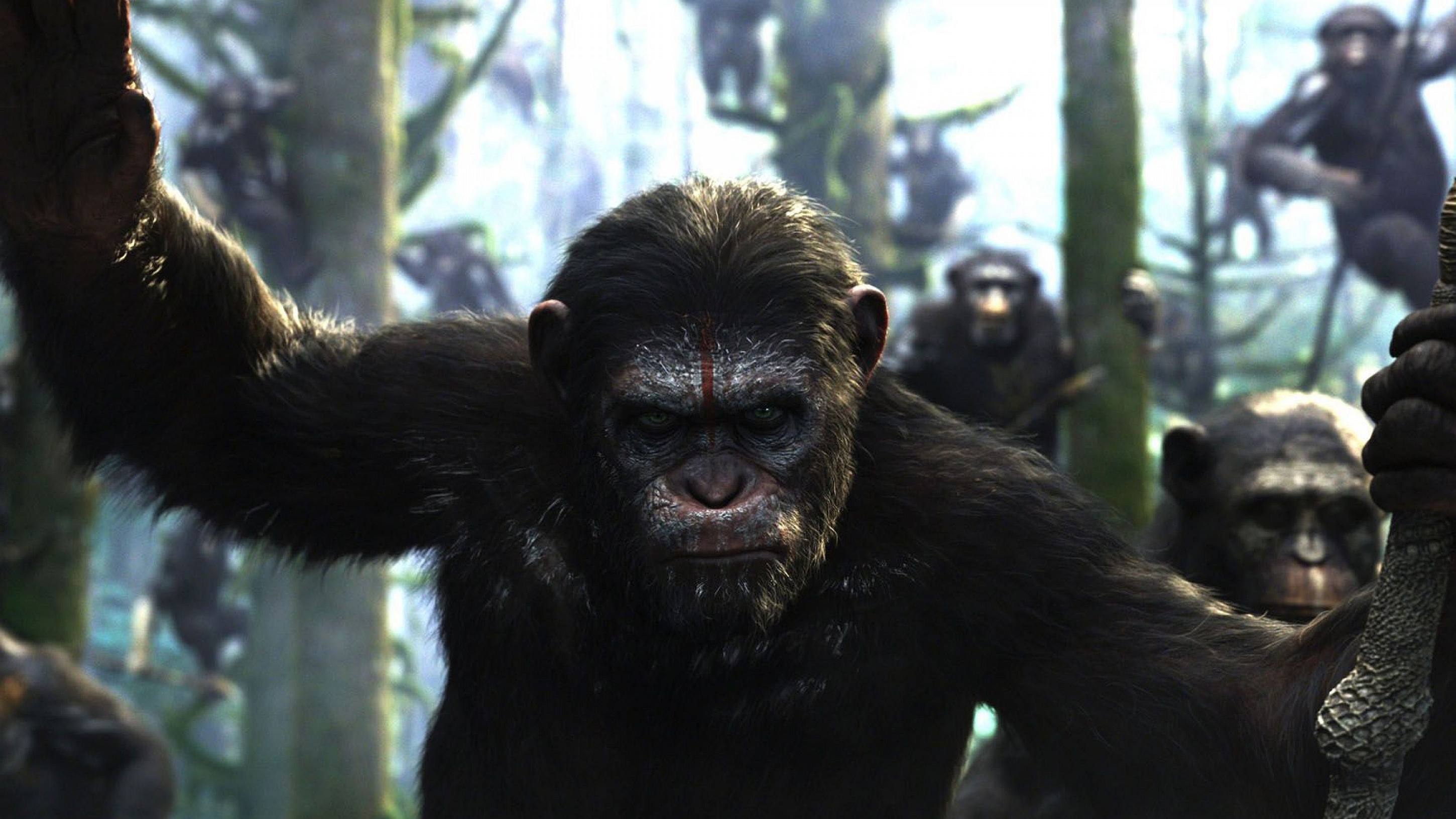 Movie Dawn Of The Planet Of The Apes 2900x1631