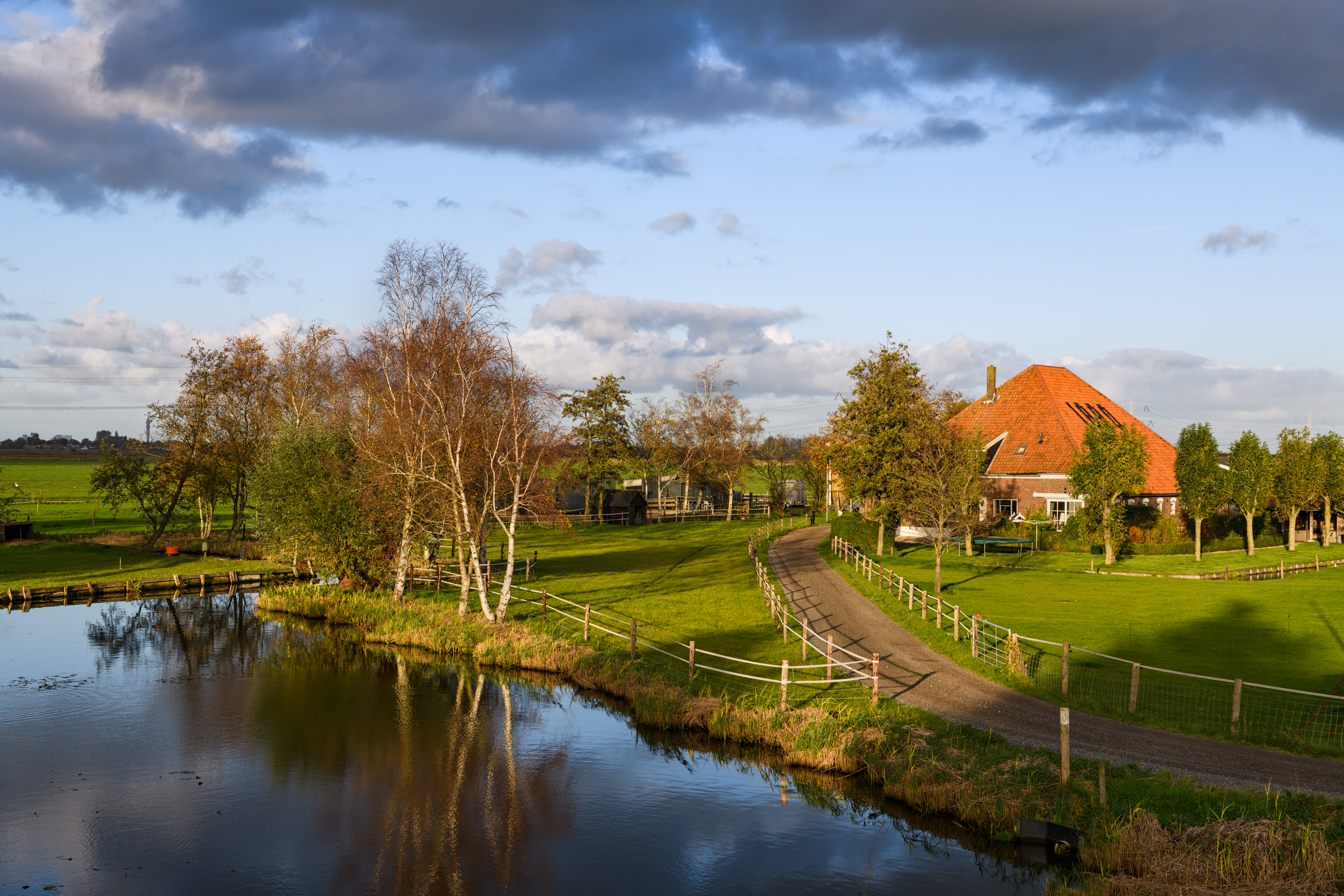 Farm Netherlands Holland Pond Road Fall 5120x3414