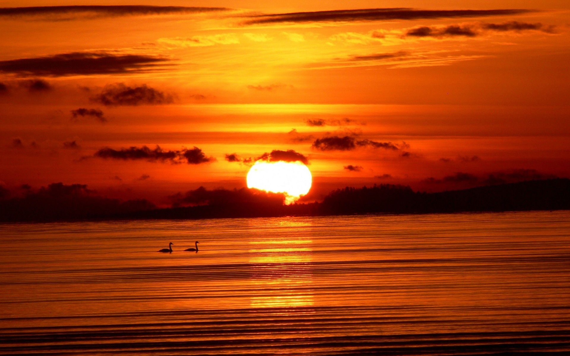 Sunset Landscape Orange Sky Dusk Geese 1920x1200