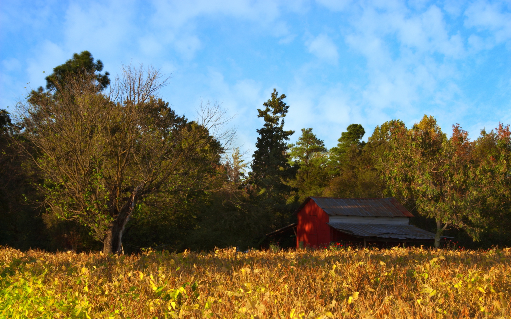 Man Made Barn 1680x1050