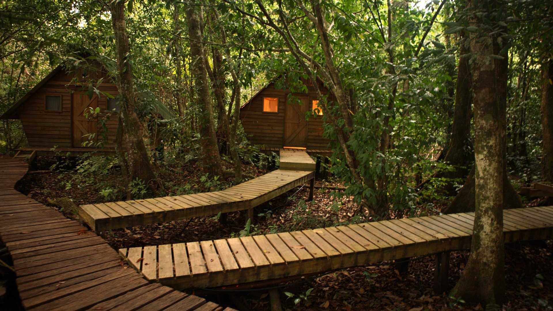 Nature Landscape Guatemala Trees Forest Cabin Wood Wooden Surface Jungle Leaves Lights Rio Dulce 1920x1080