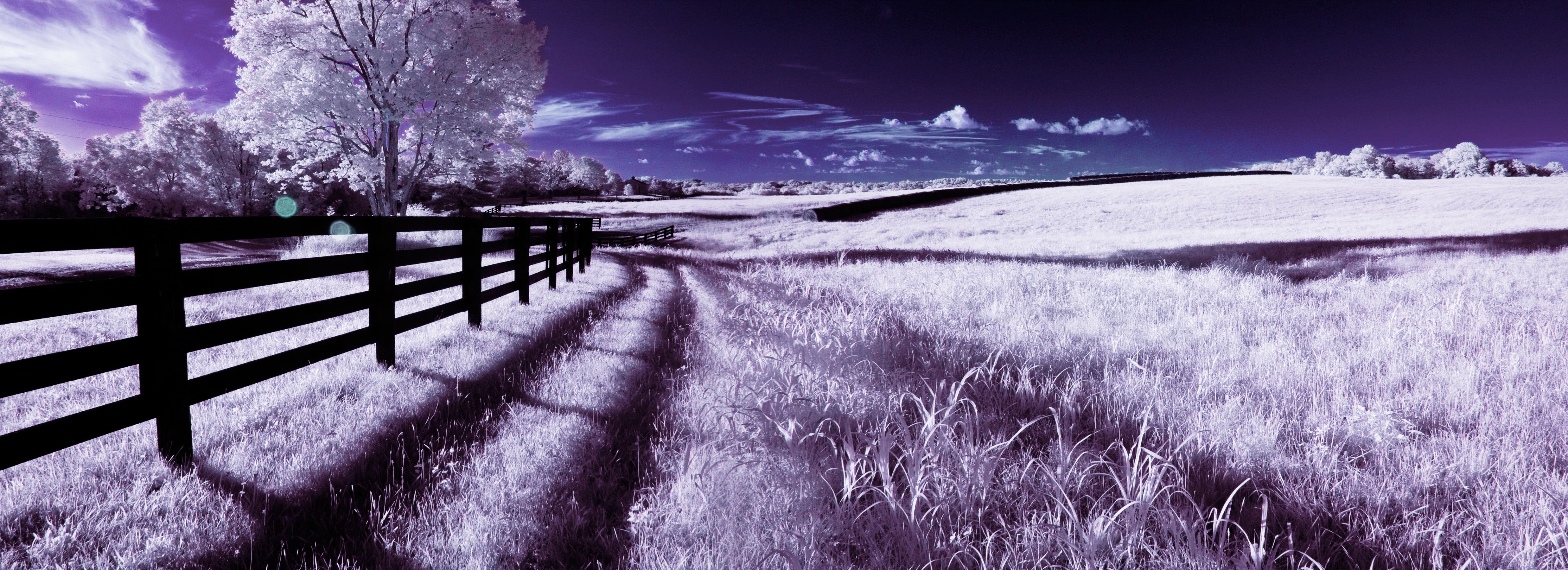 Photography Infrared 4950x1800