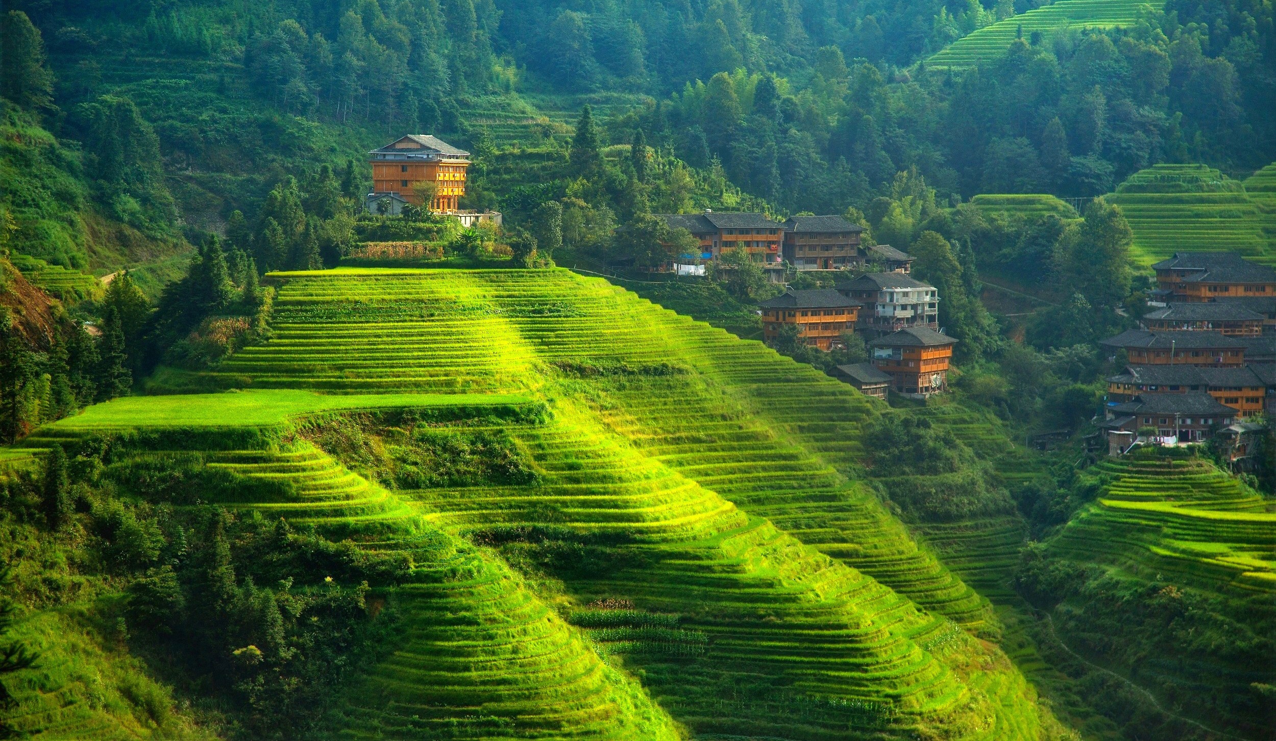 Terraced Field Landscape Hills China 2500x1453