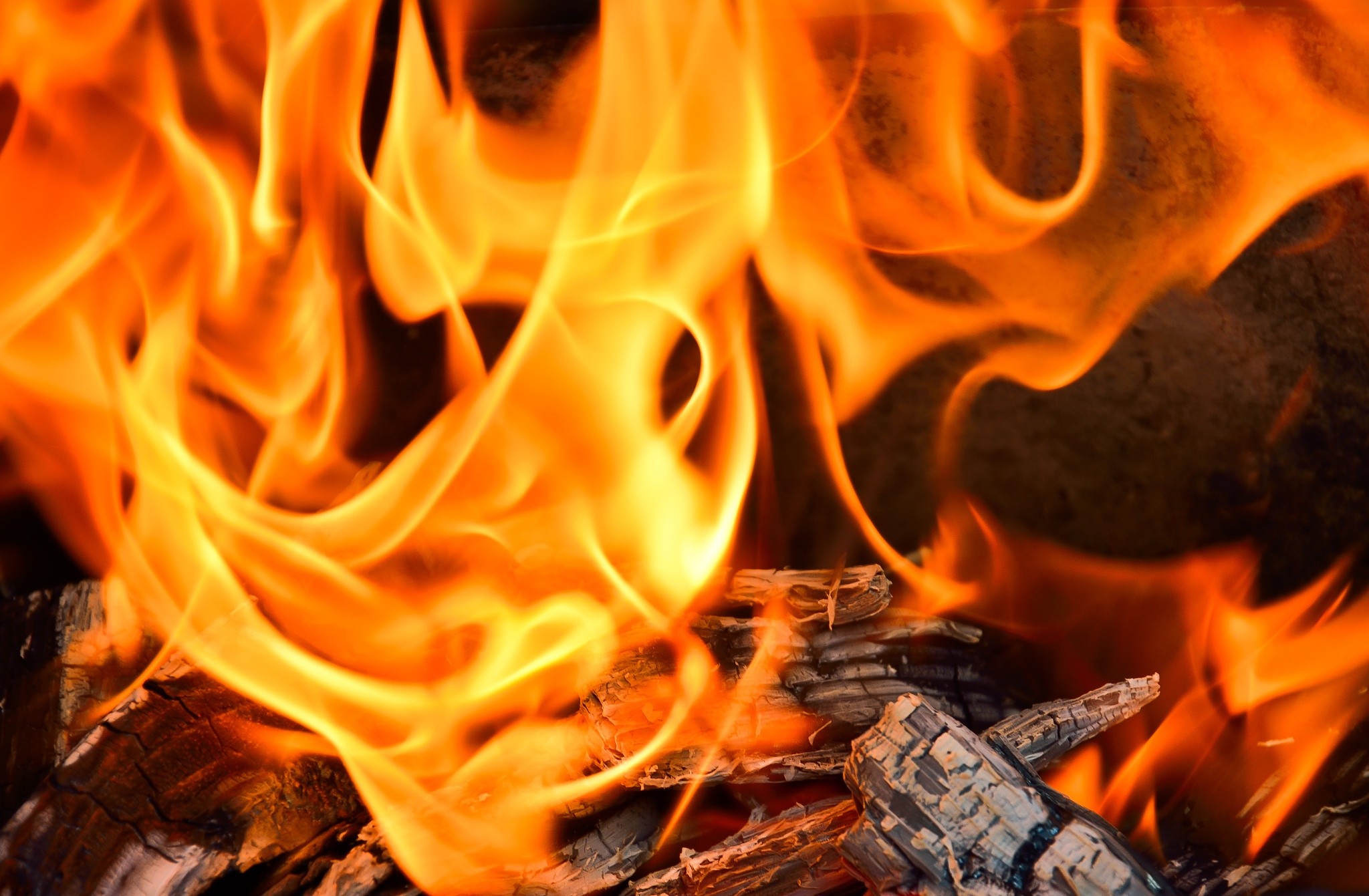 Fire Firewood Burning 2048x1341